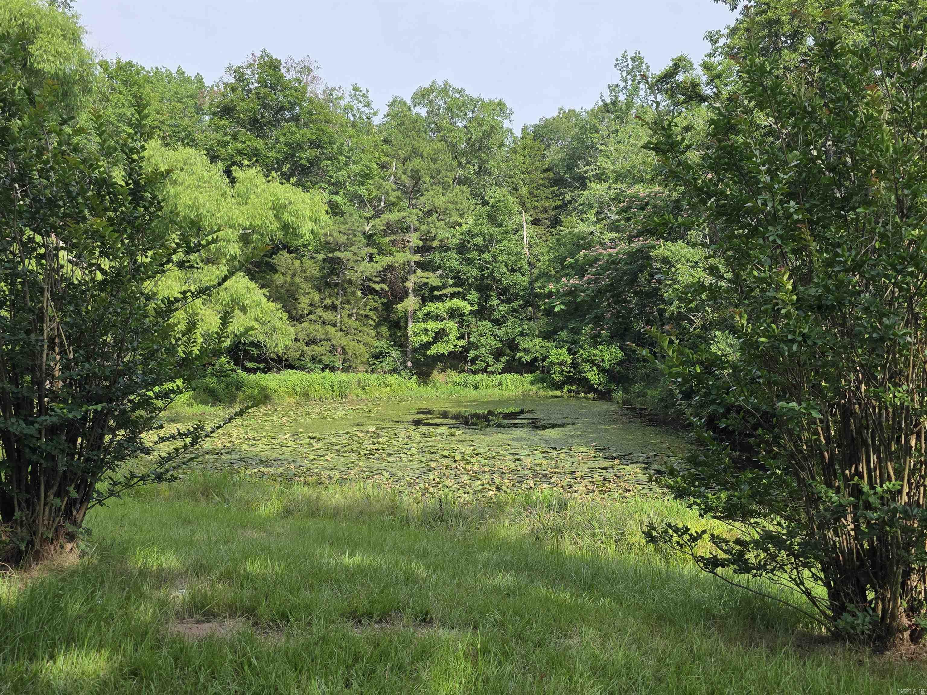 487 Polk Road 34  Hatfield, AR