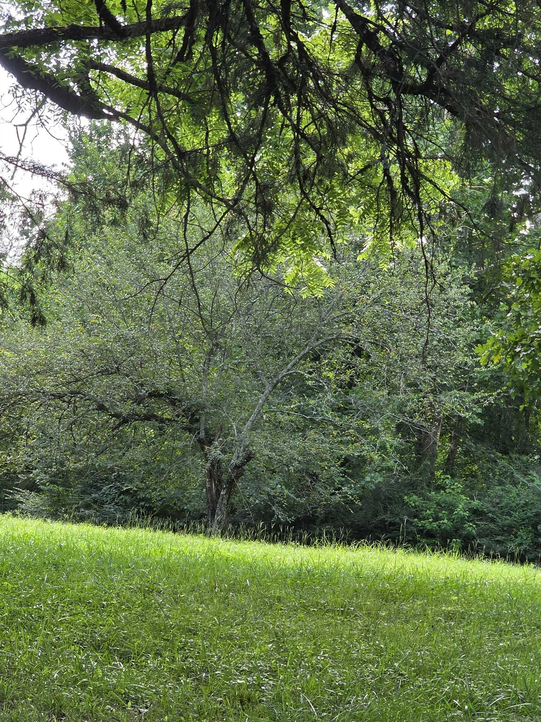 487 Polk Road 34 Hatfield, AR 71945