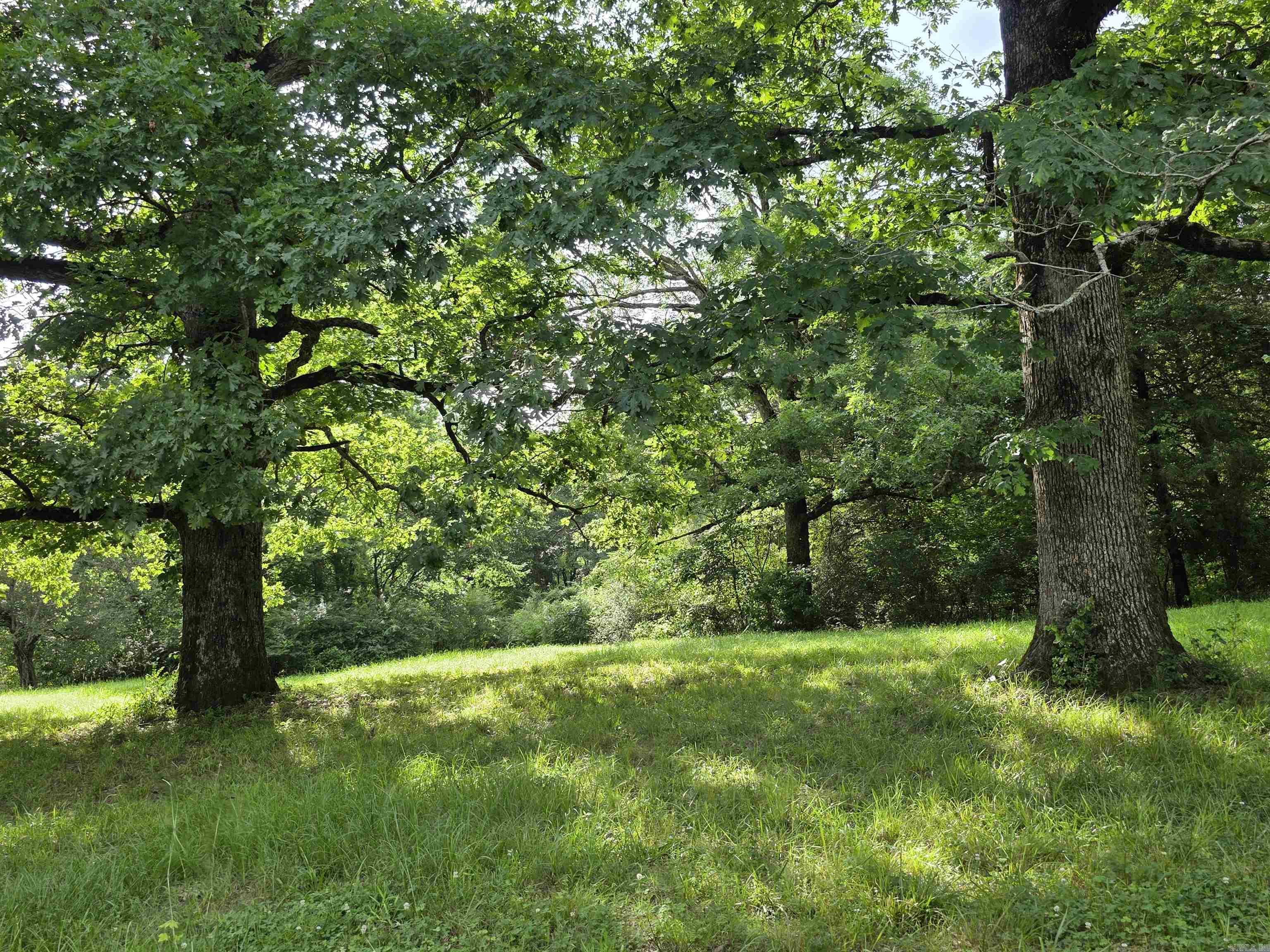 487 Polk Road 34  Hatfield, AR