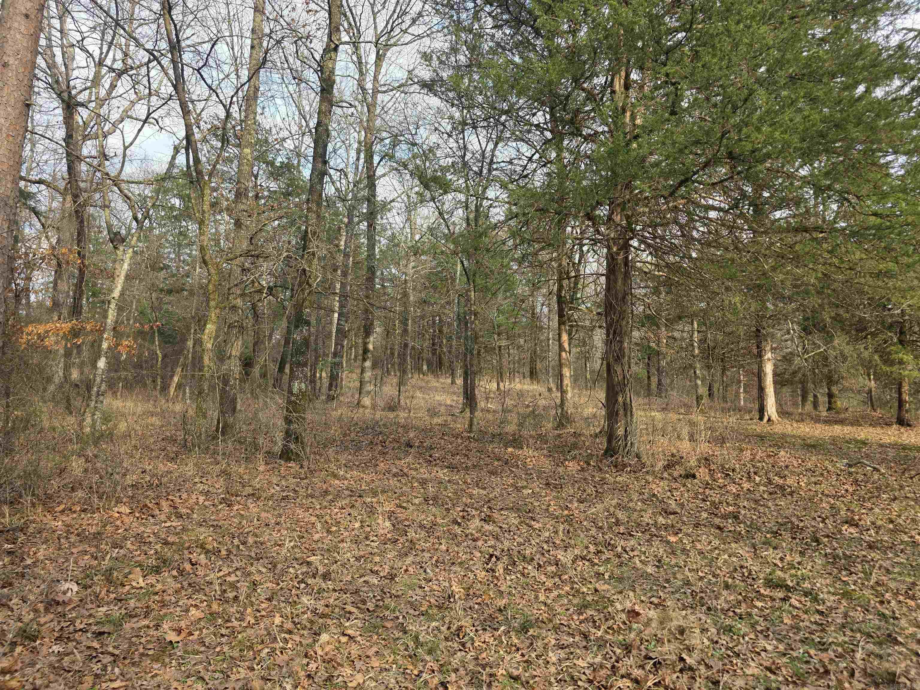 487 Polk Road 34 Hatfield, AR 71945