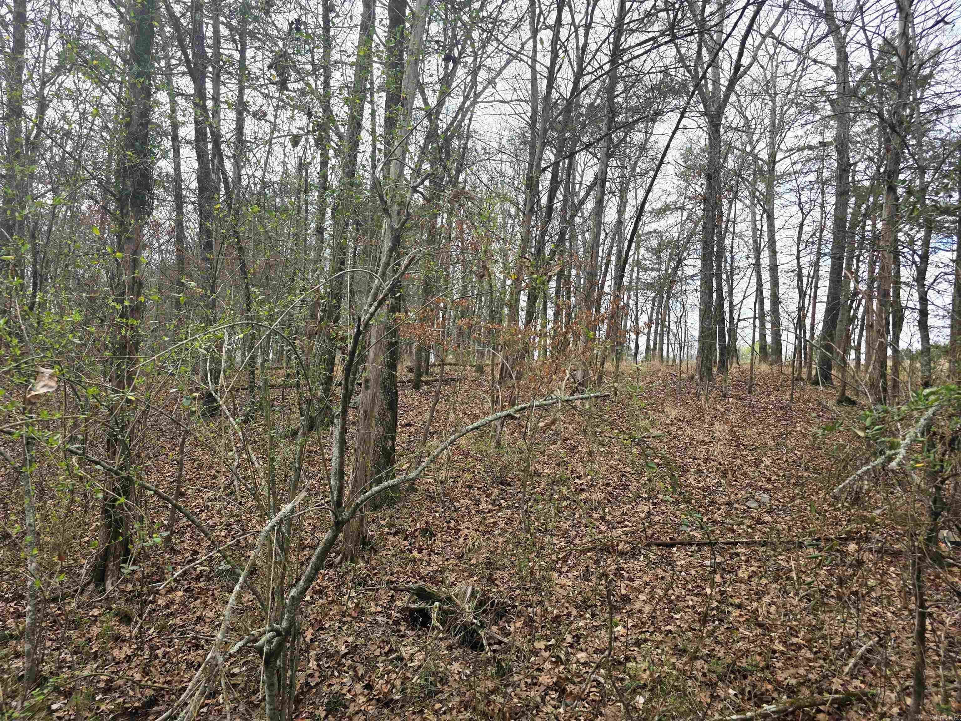 487 Polk Road 34 Hatfield, AR 71945