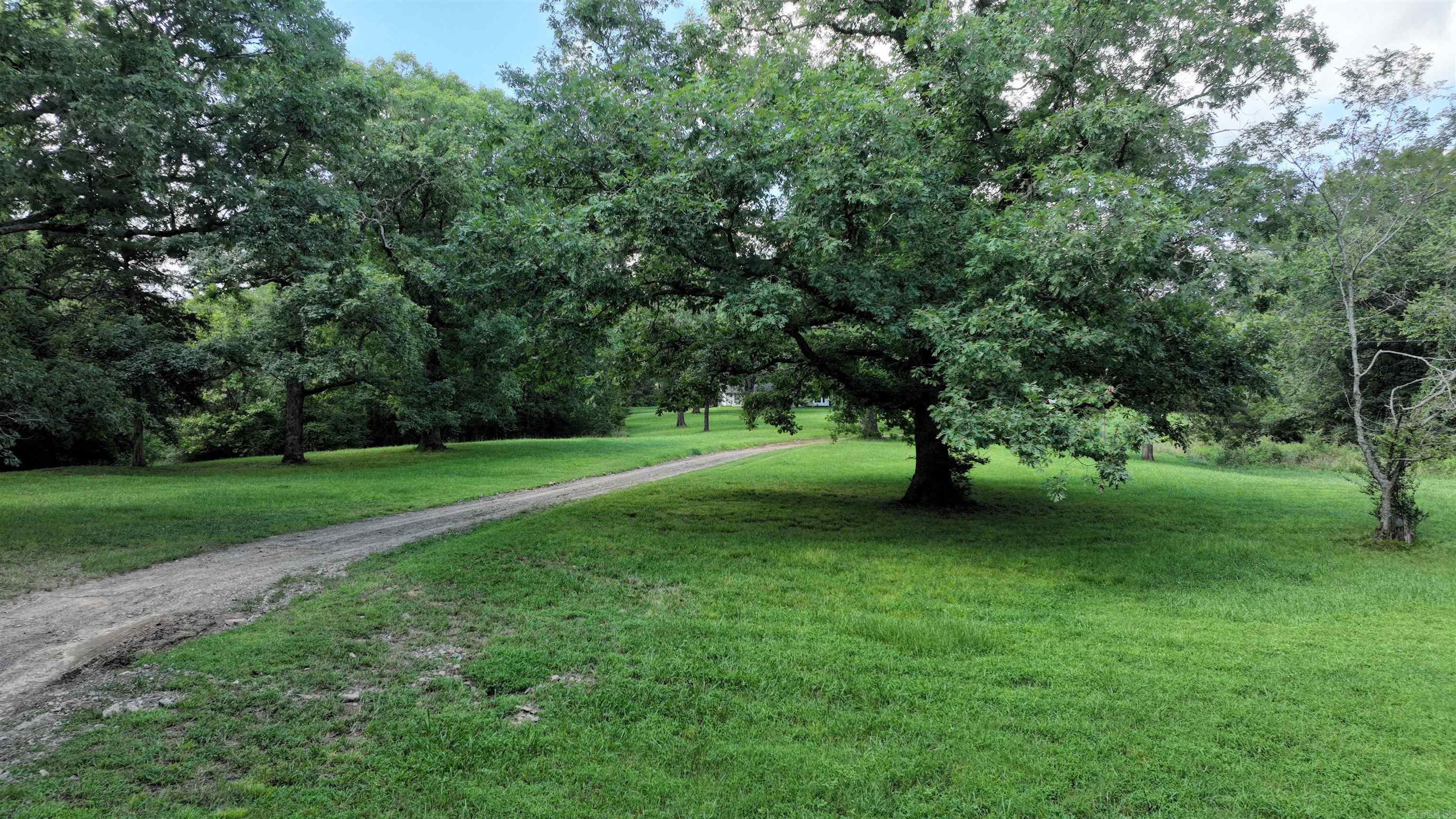 487 Polk Road 34  Hatfield, AR