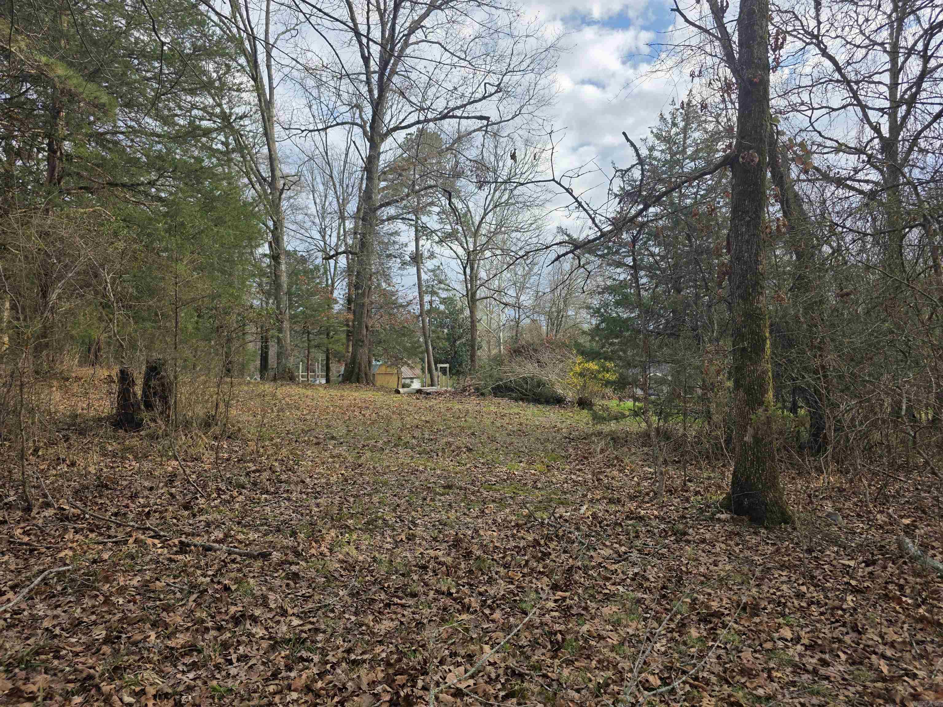 487 Polk Road 34 Hatfield, AR 71945