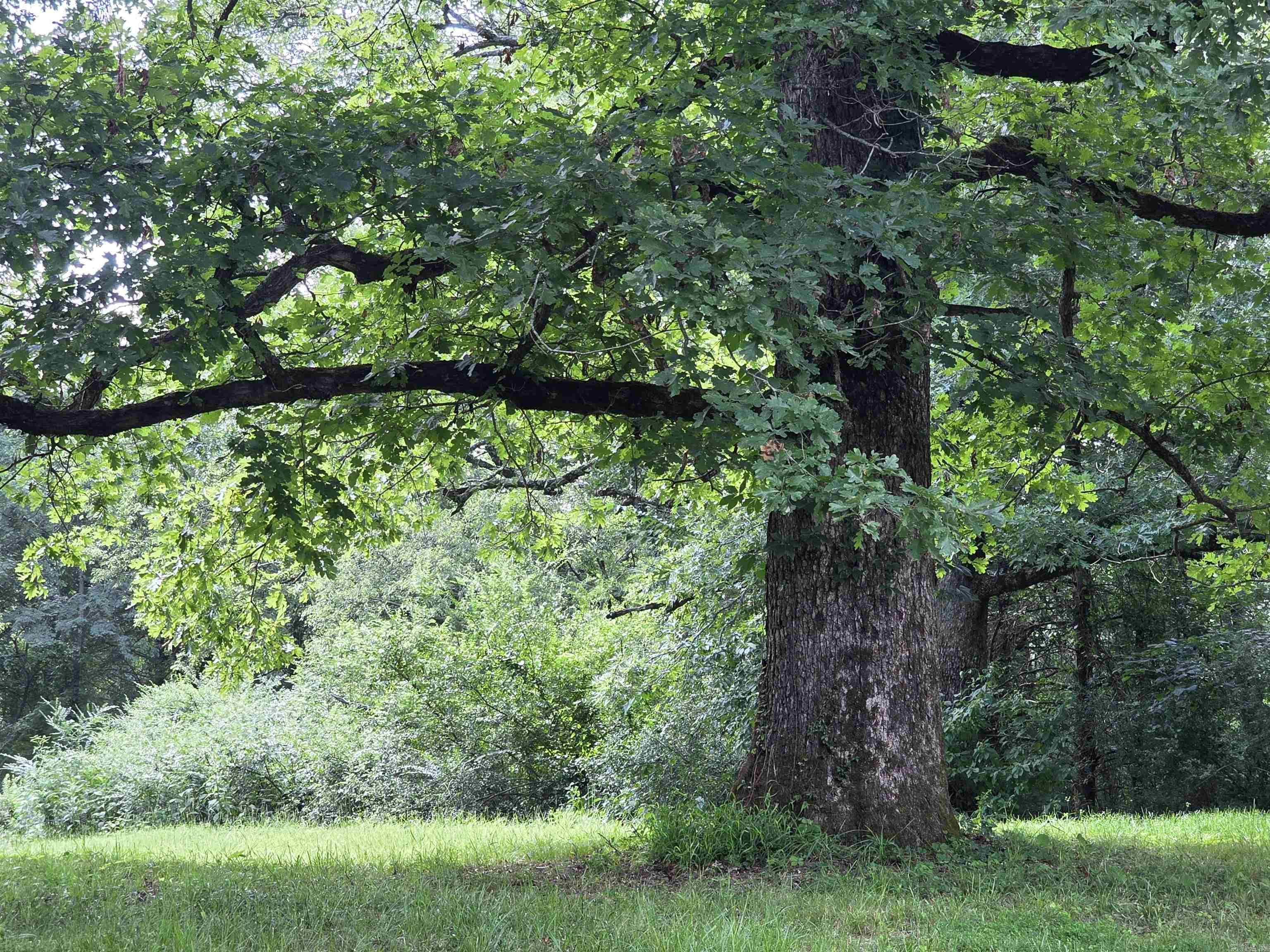 487 Polk Road 34 Hatfield, AR 71945