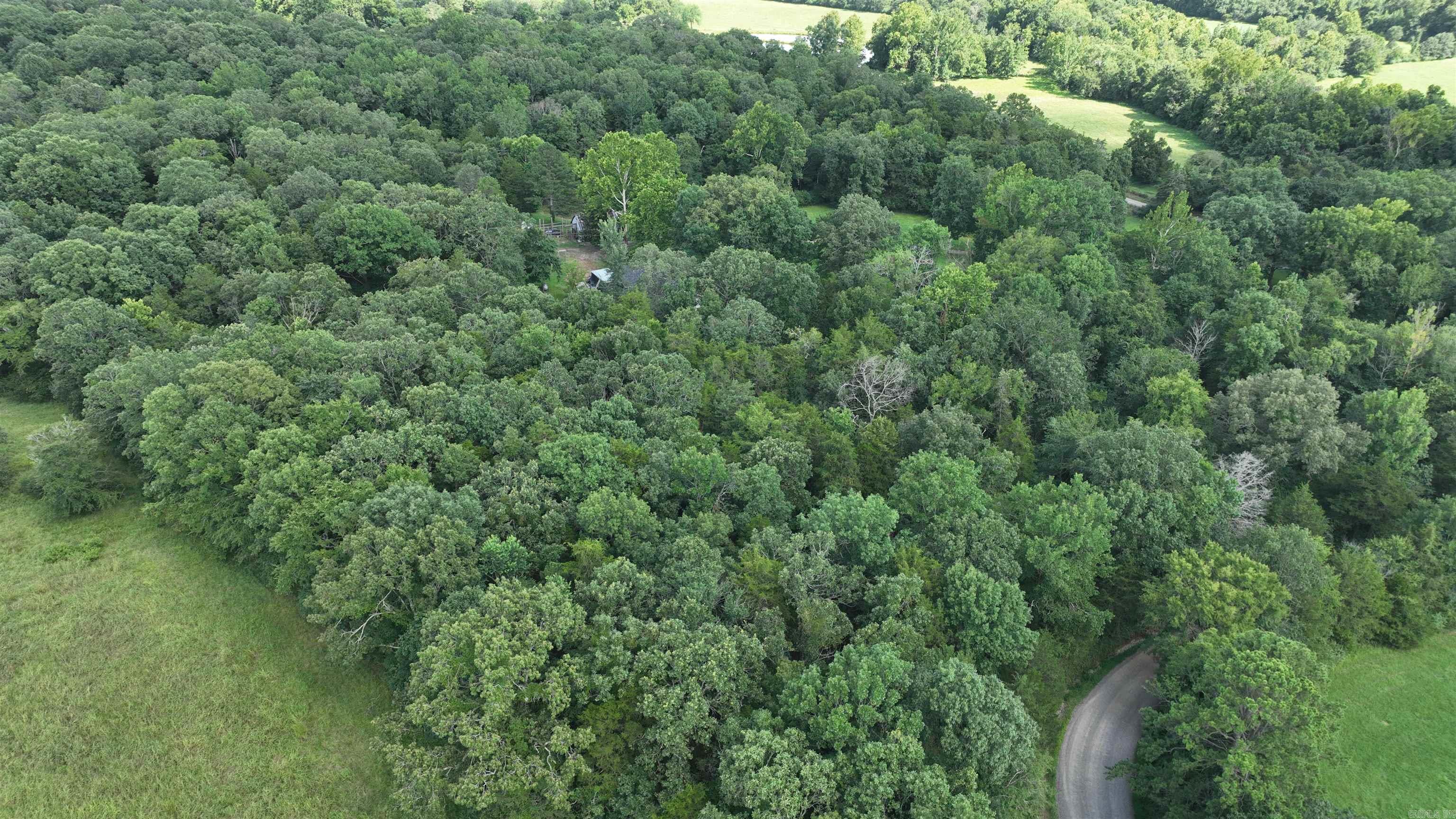 487 Polk Road 34  Hatfield, AR