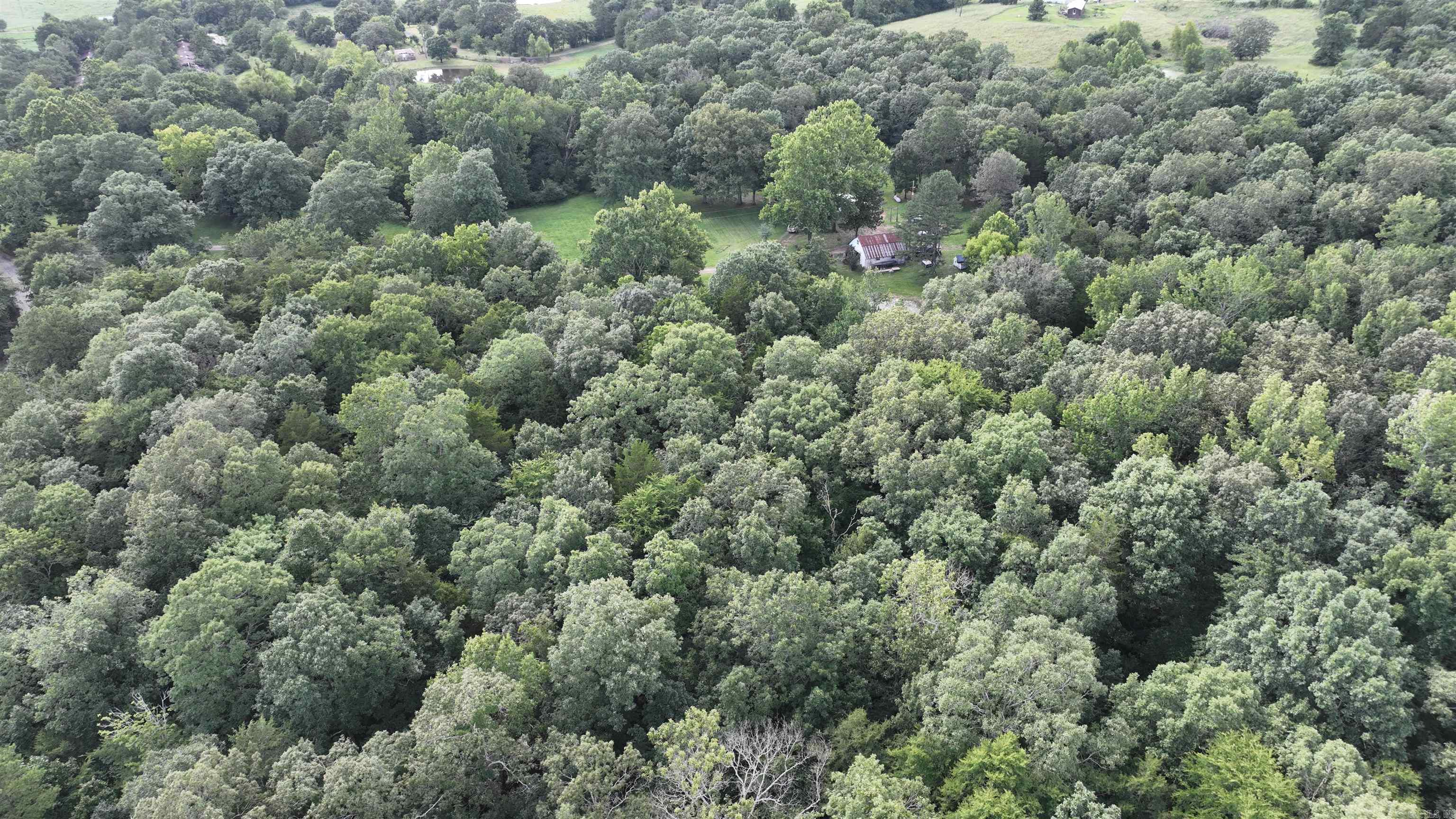 487 Polk Road 34 Hatfield, AR 71945