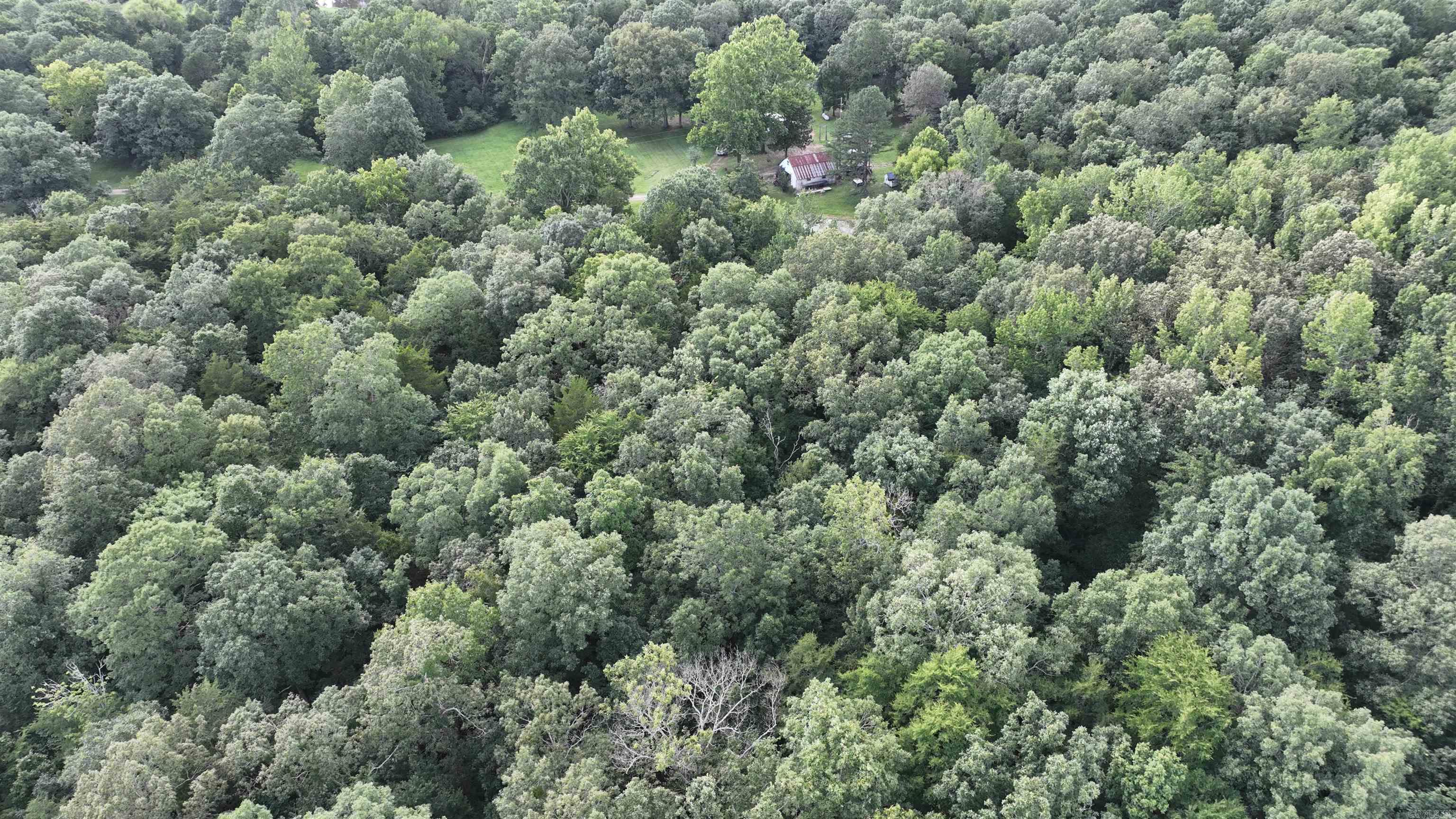 487 Polk Road 34 Hatfield, AR 71945