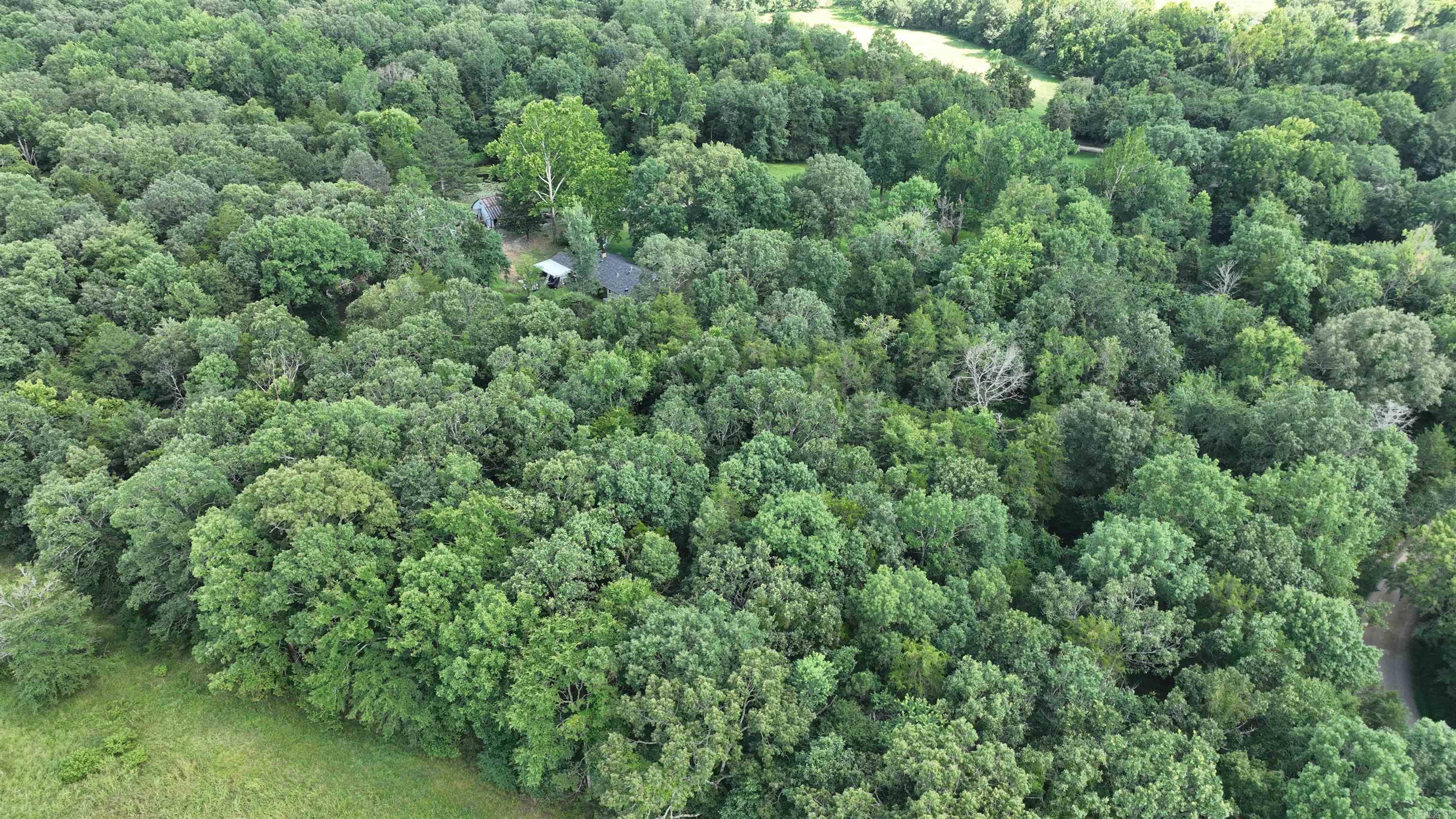 487 Polk Road 34 Hatfield, AR 71945