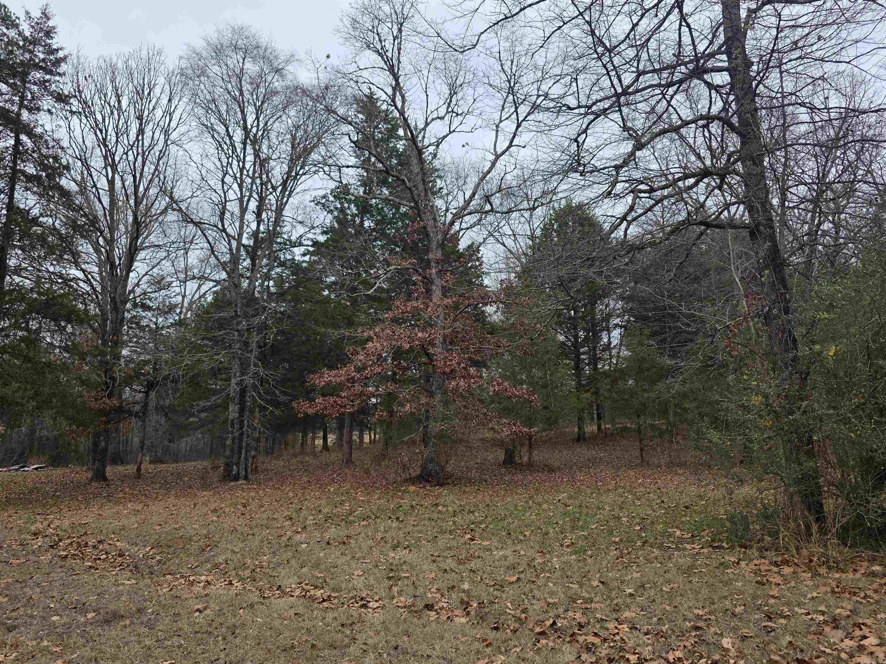 487 Polk Road 34  Hatfield, AR