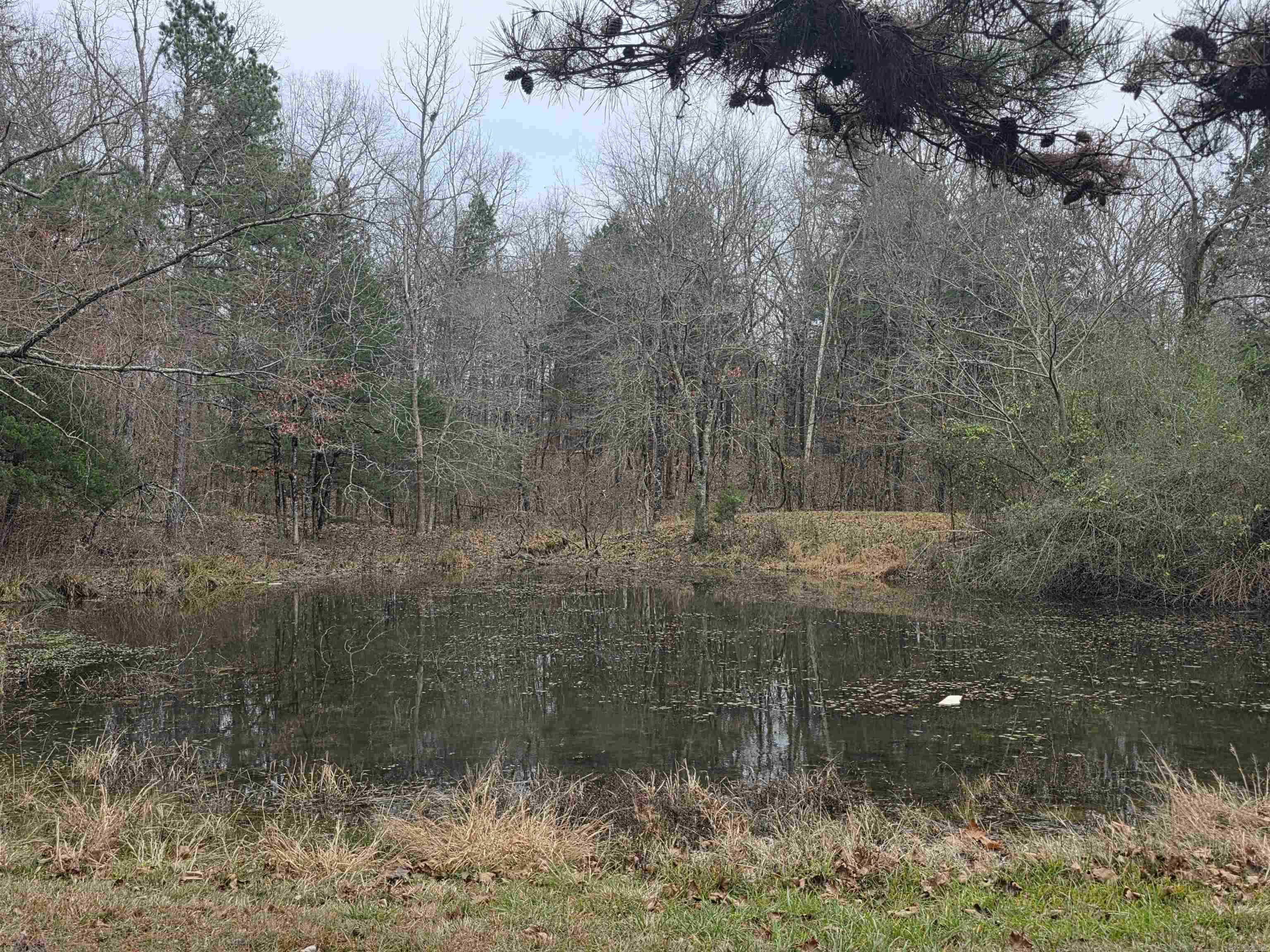 487 Polk Road 34  Hatfield, AR