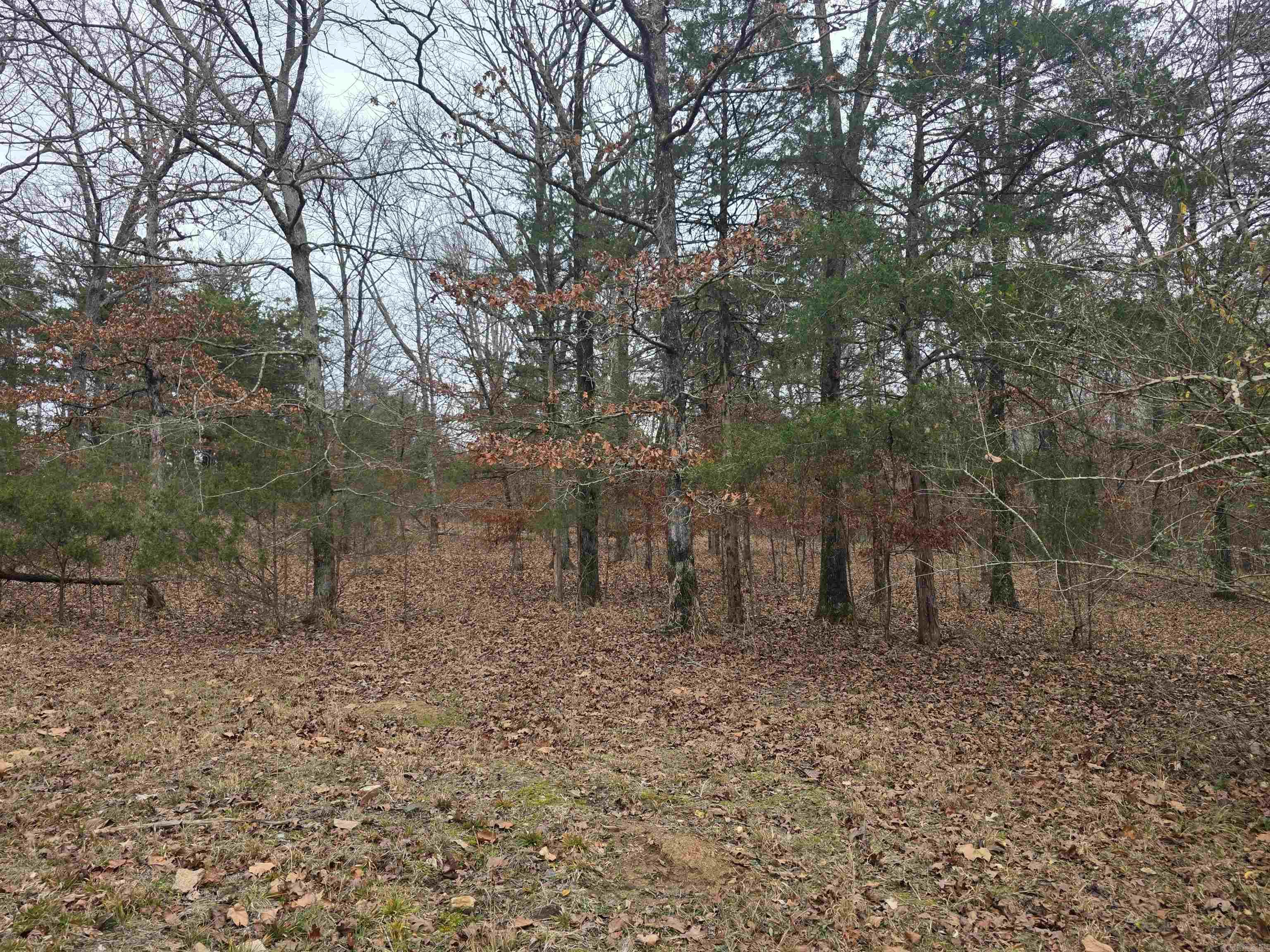 487 Polk Road 34 Hatfield, AR 71945