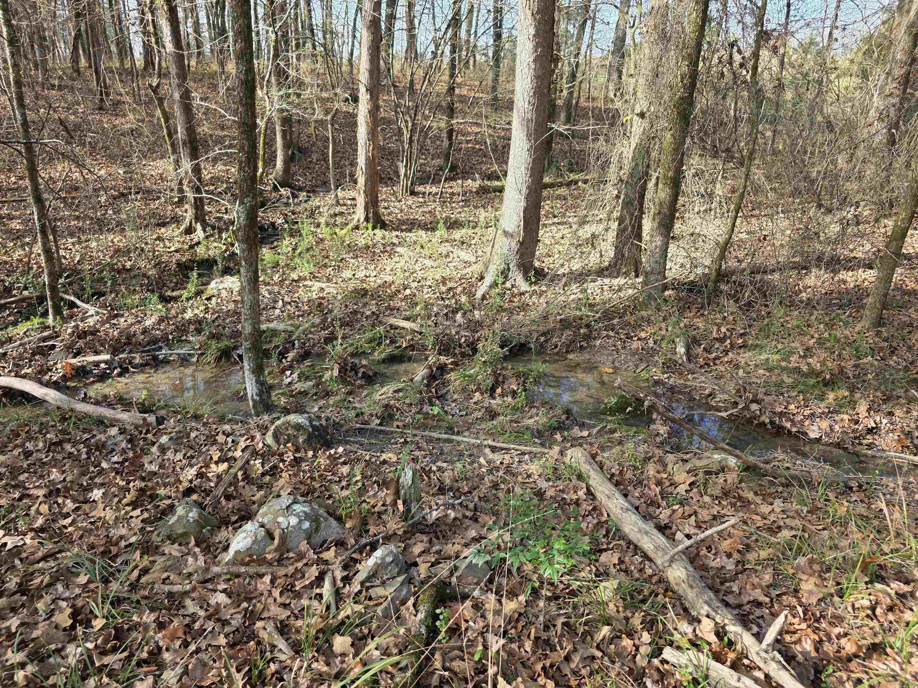 487 Polk Road 34  Hatfield, AR