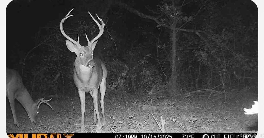 967 Hwy 64 W  Beebe, AR