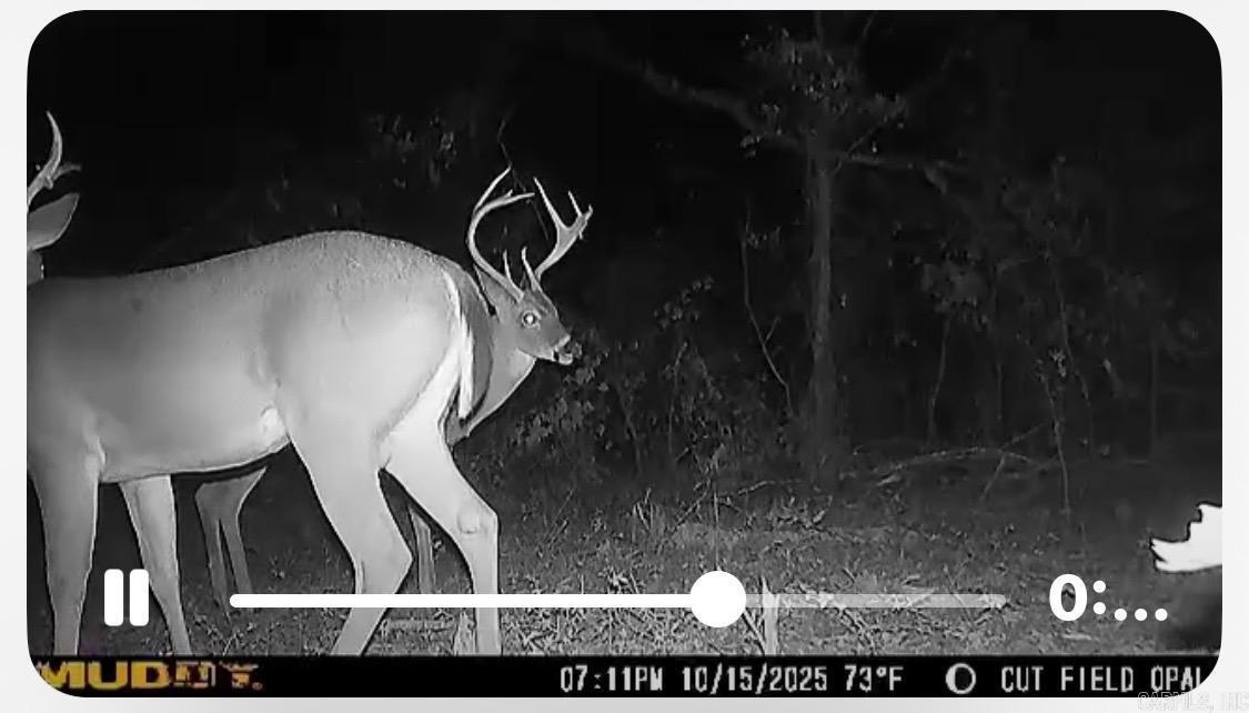 967 Hwy 64 W  Beebe, AR