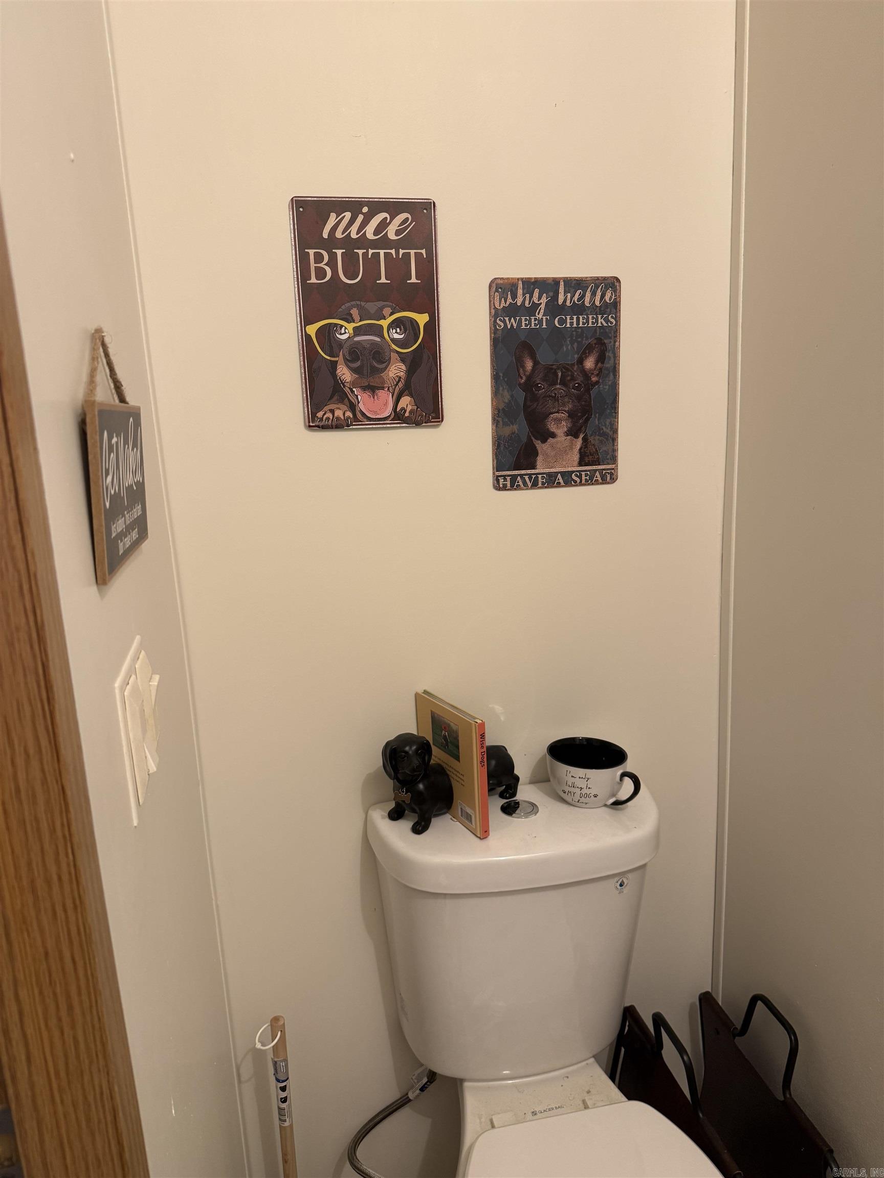 21 Songbird  Pleasant Plains, AR