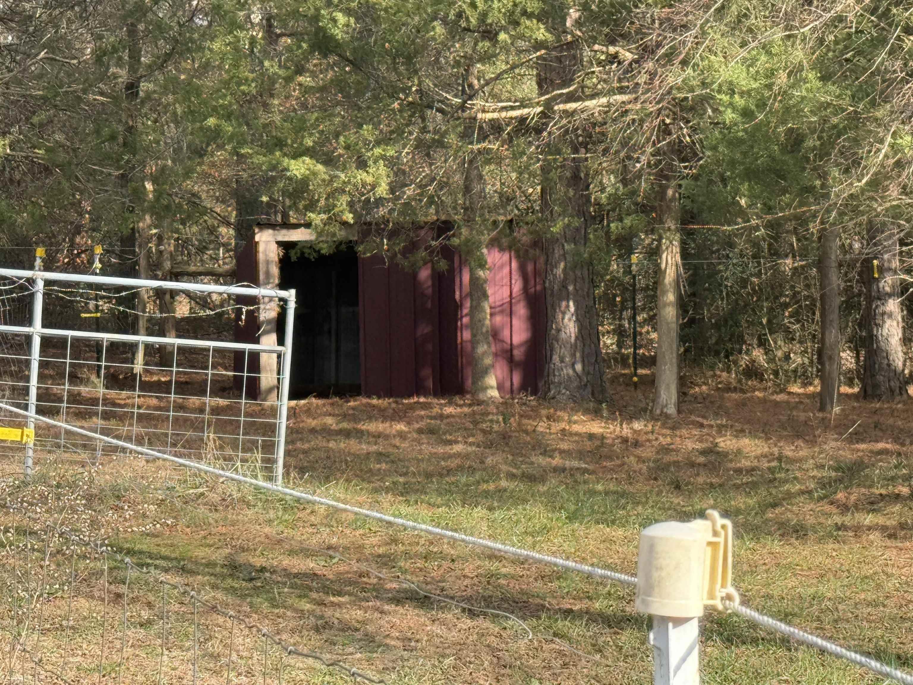 21 Songbird  Pleasant Plains, AR