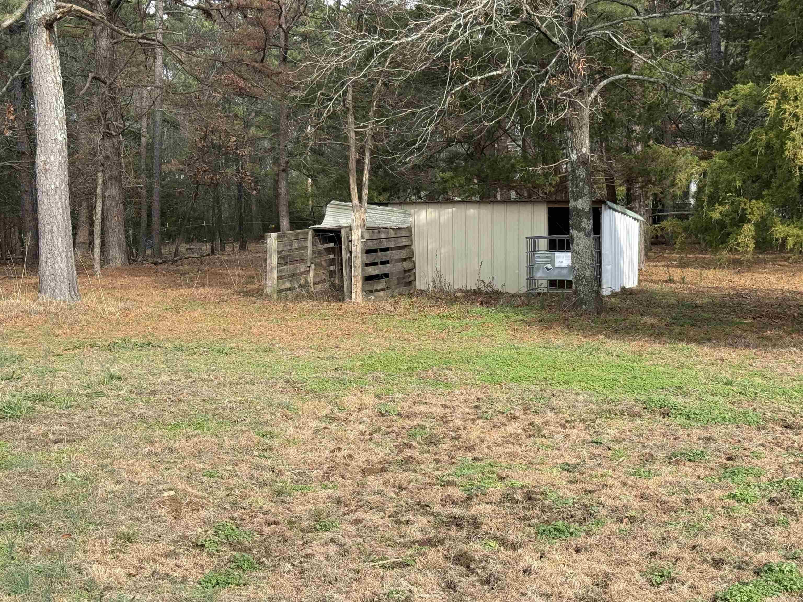 21 Songbird  Pleasant Plains, AR