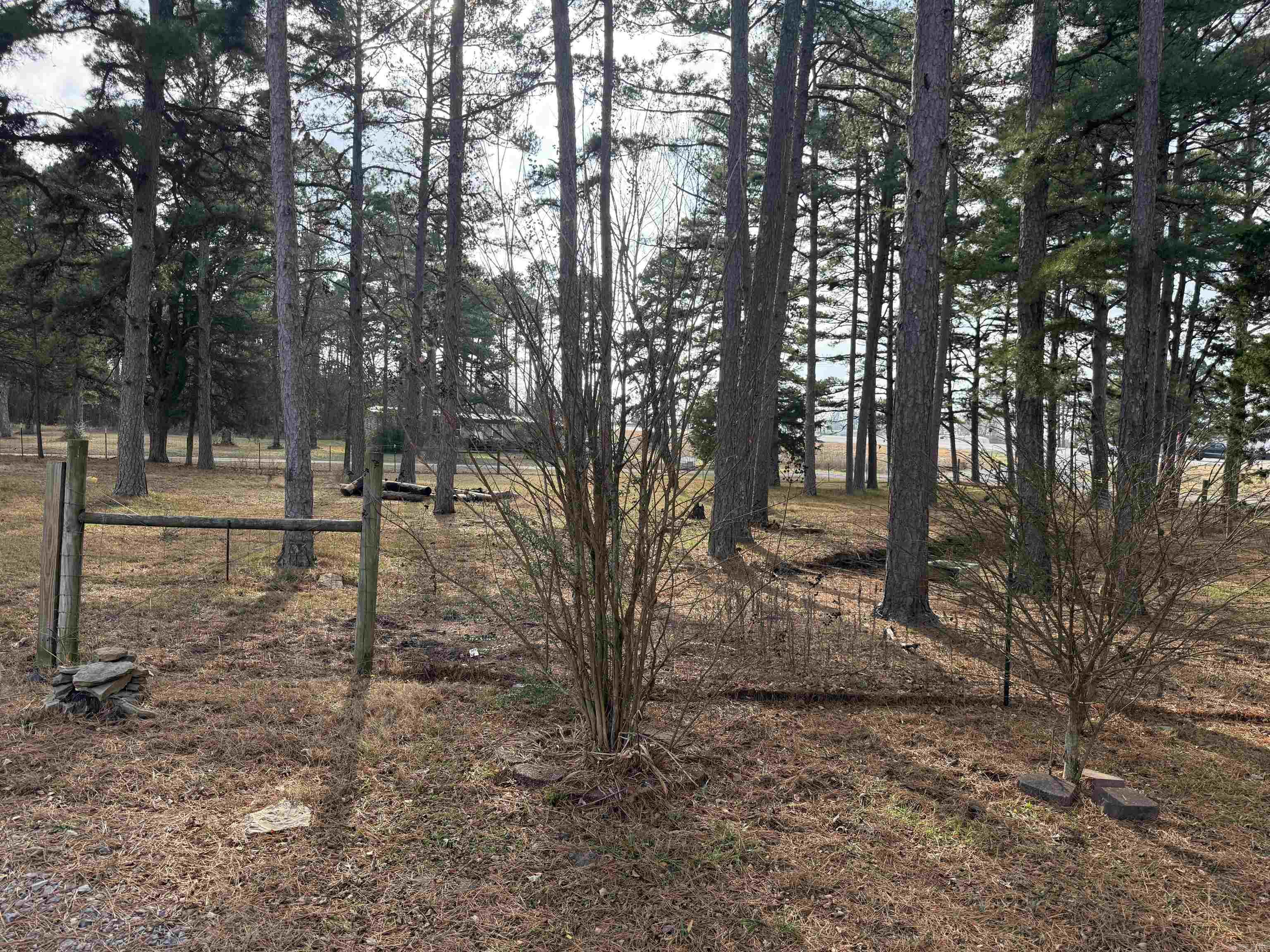 21 Songbird  Pleasant Plains, AR