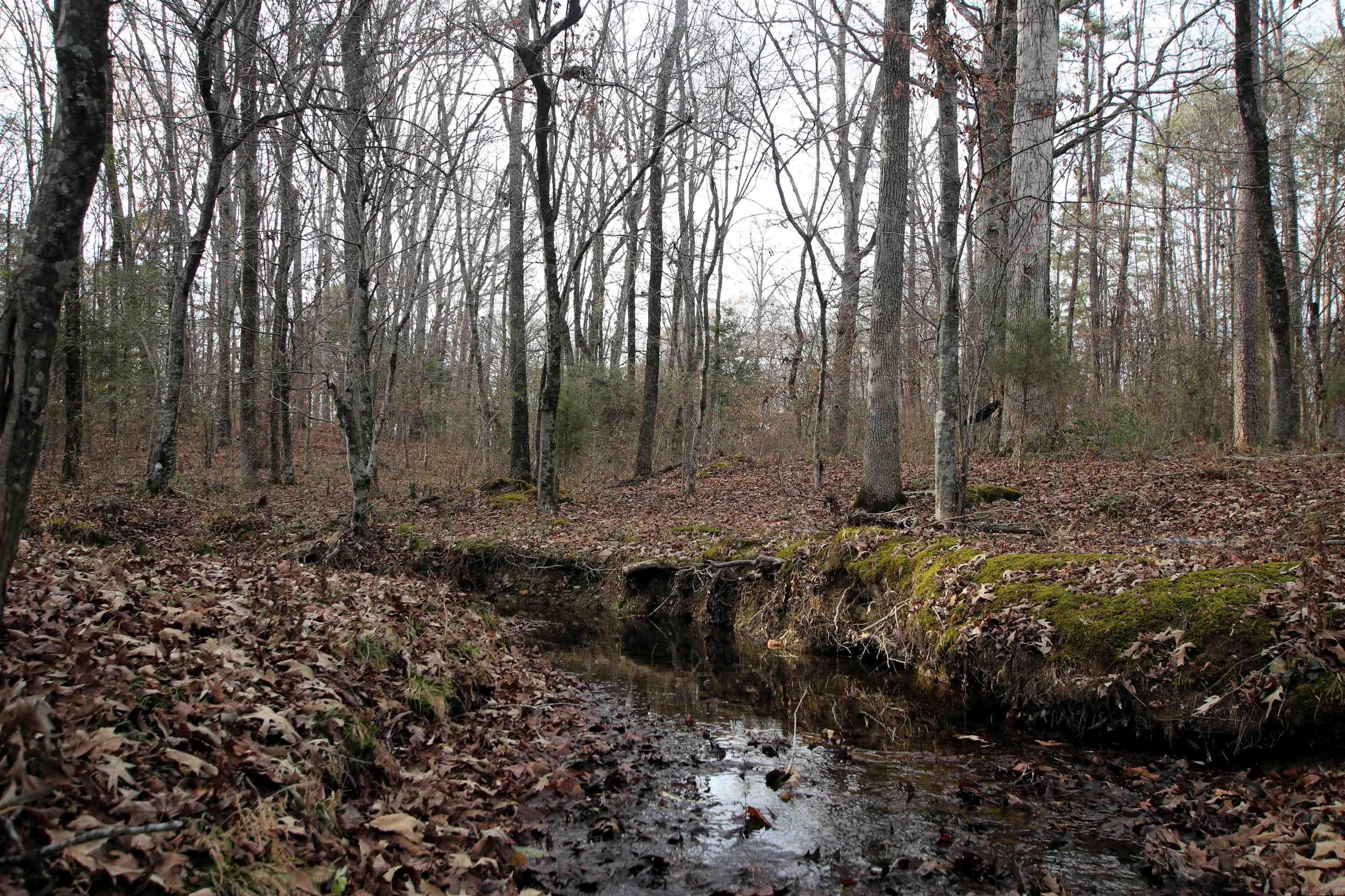 4623 Cash Mountain  Malvern, AR