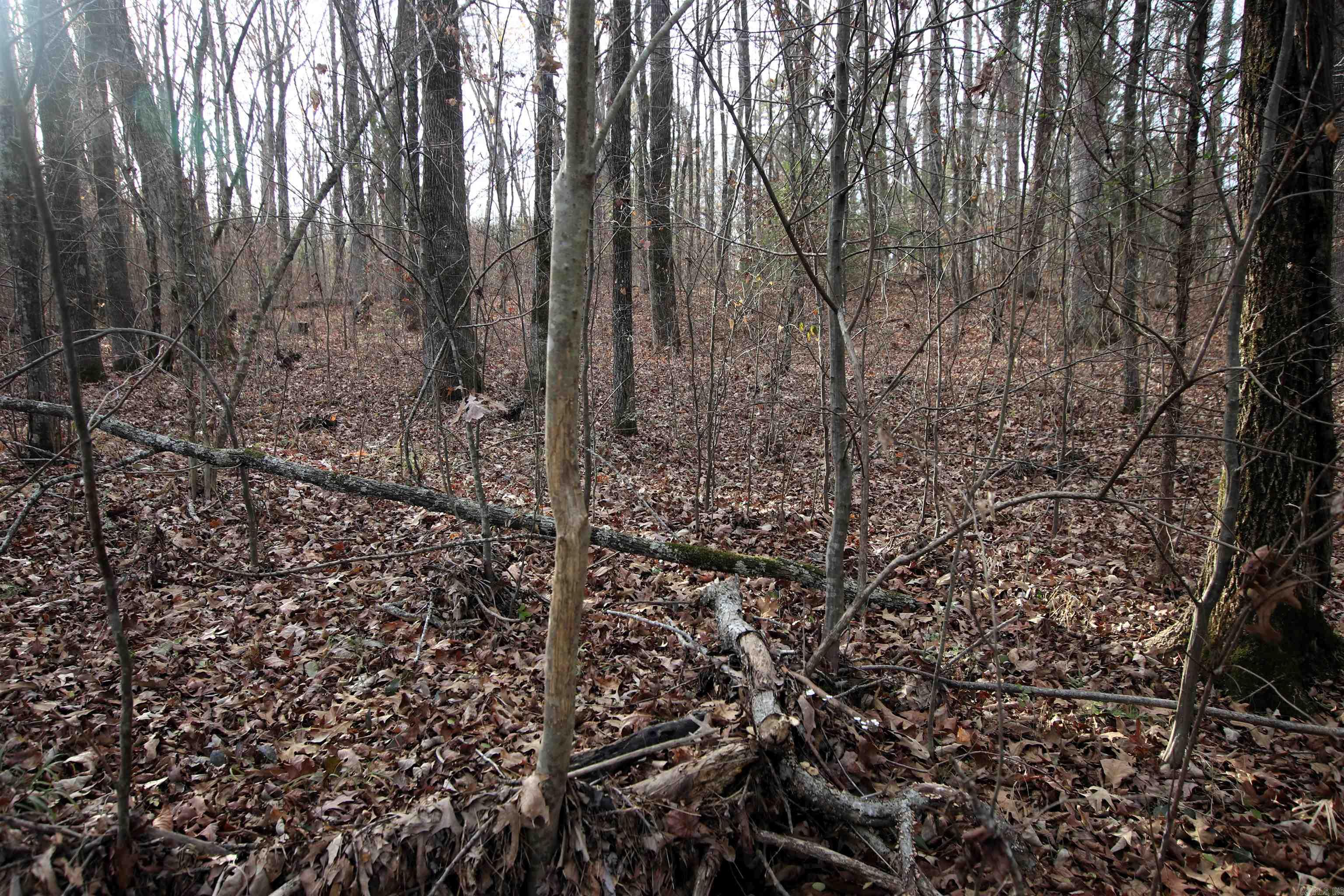 4623 Cash Mountain  Malvern, AR