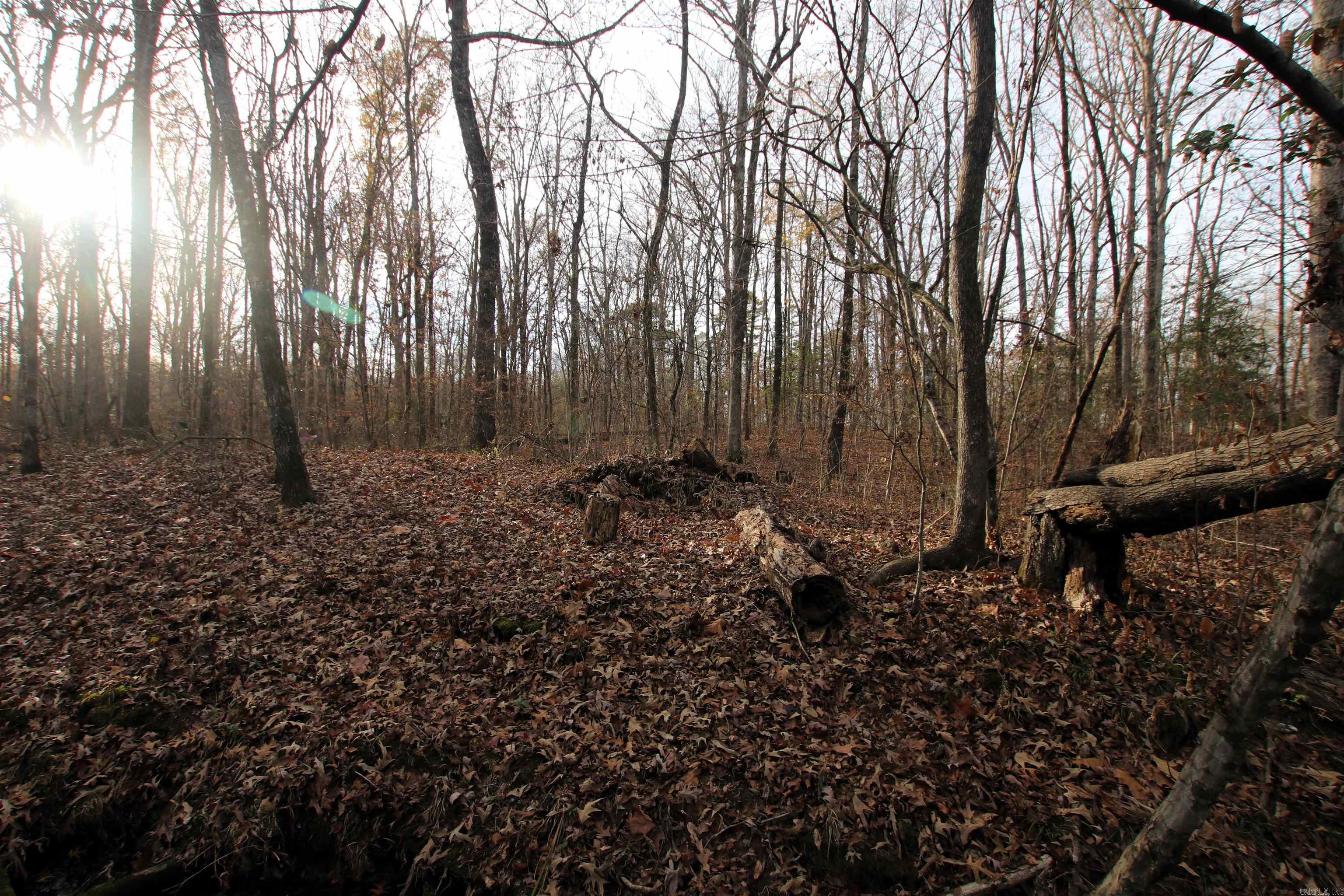 4623 Cash Mountain  Malvern, AR