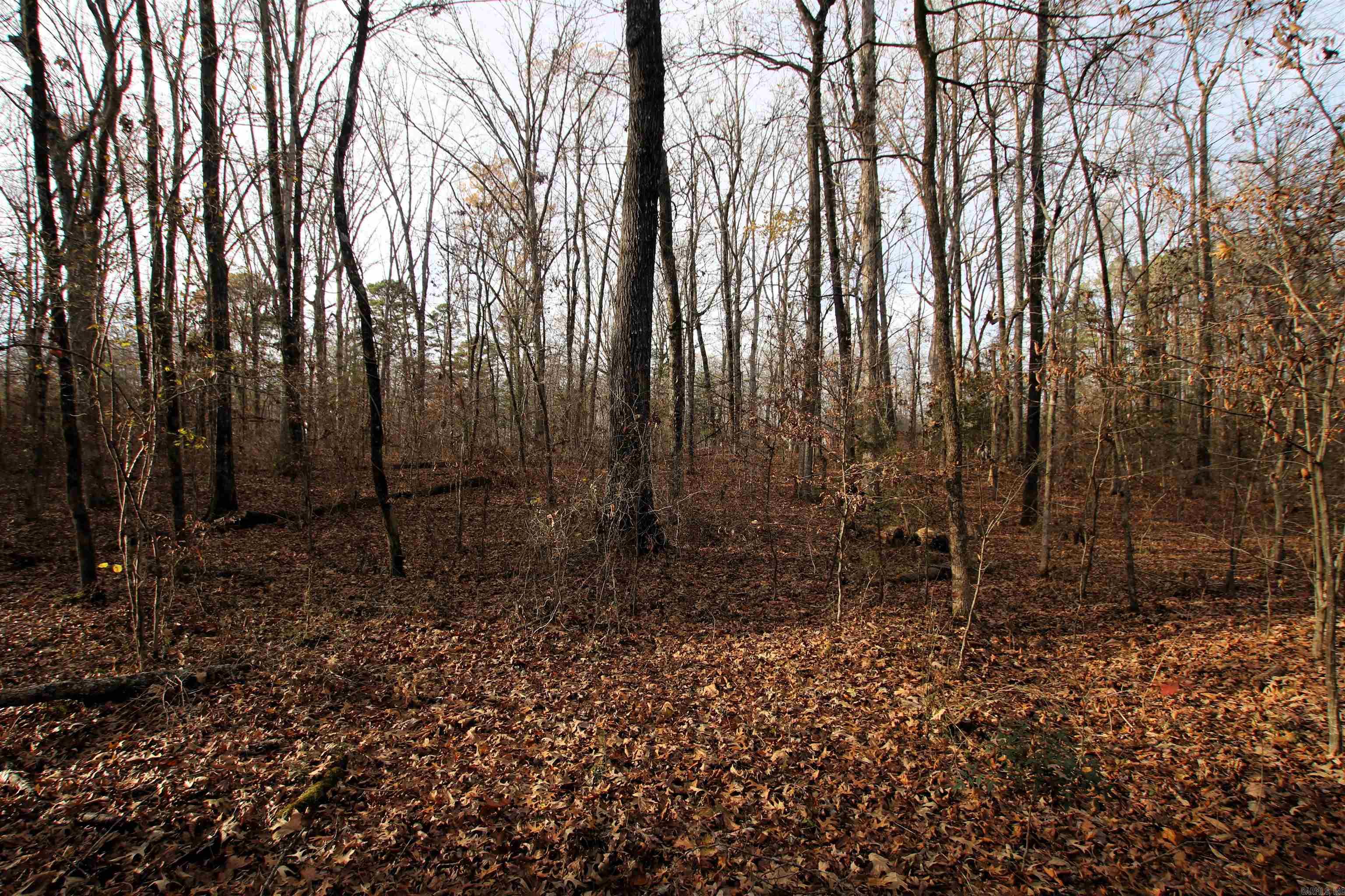 4623 Cash Mountain  Malvern, AR