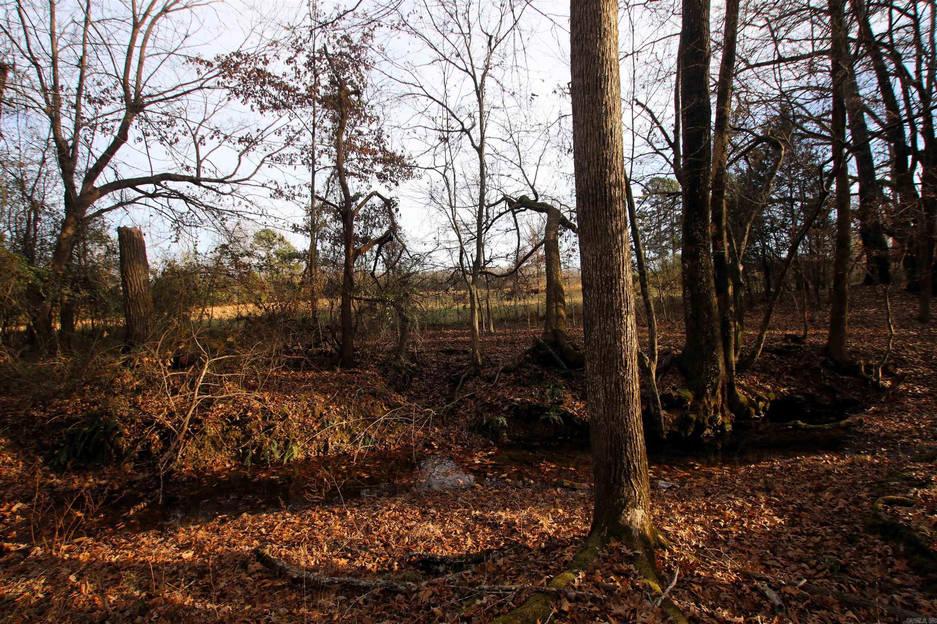 4623 Cash Mountain  Malvern, AR