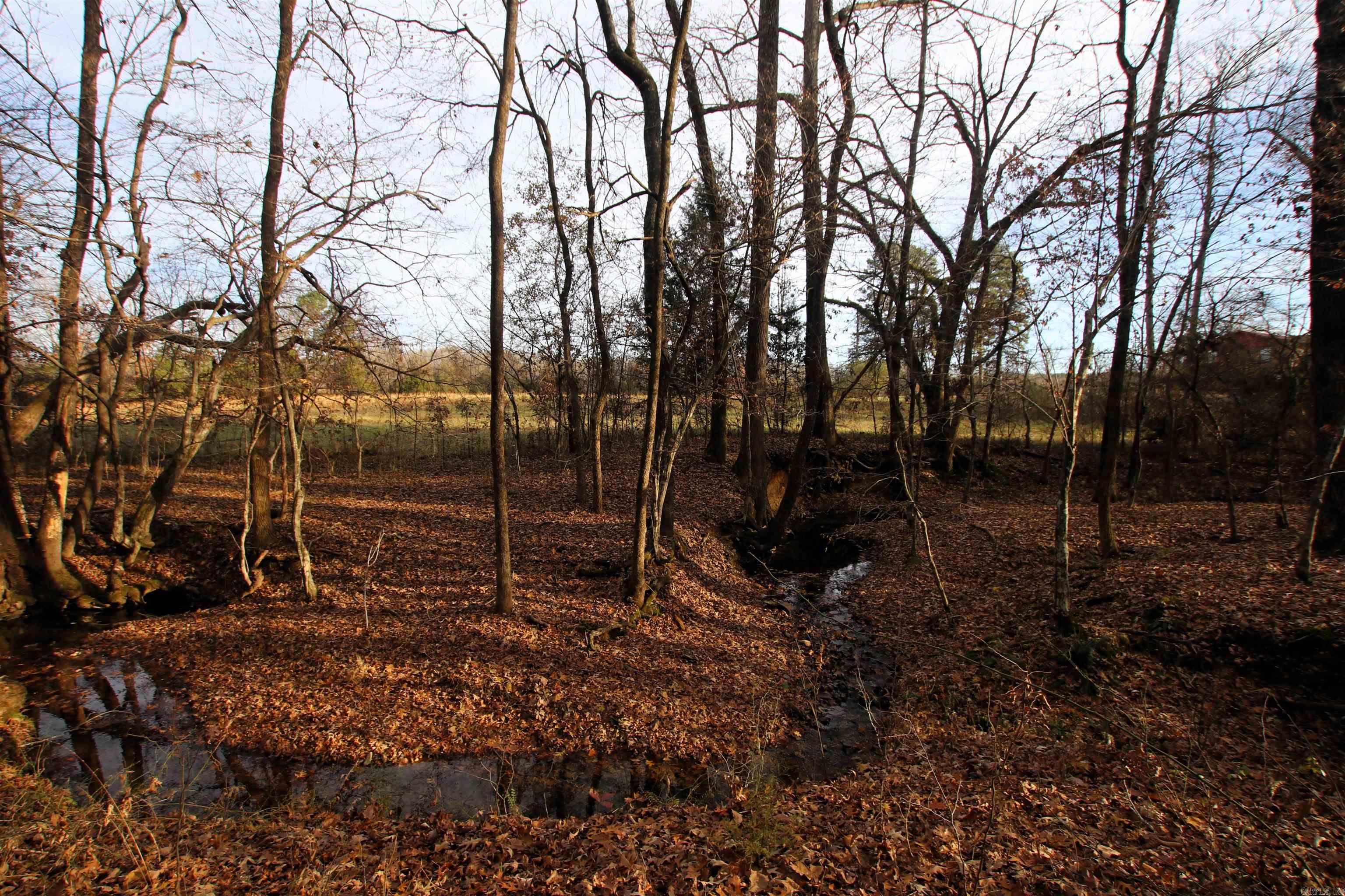 4623 Cash Mountain  Malvern, AR