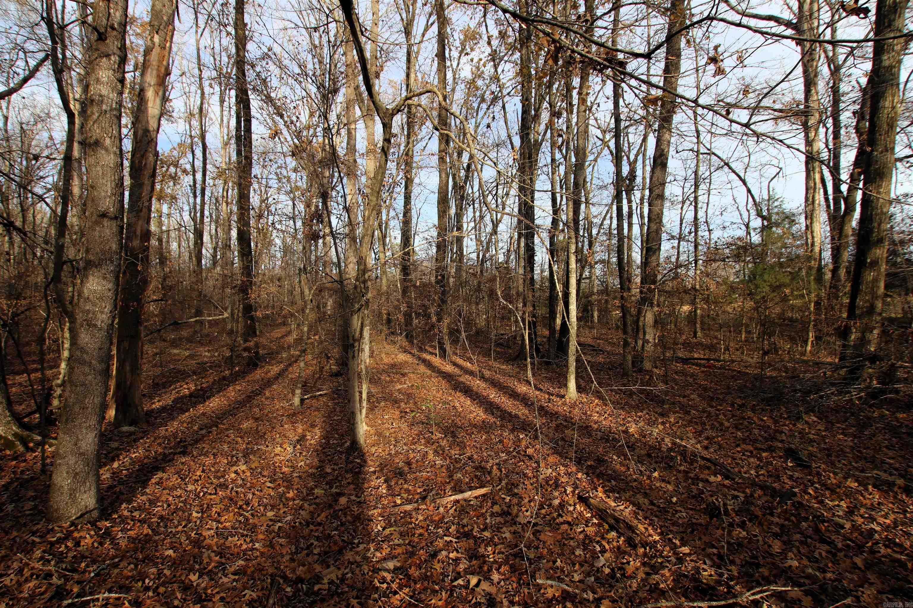 4623 Cash Mountain  Malvern, AR