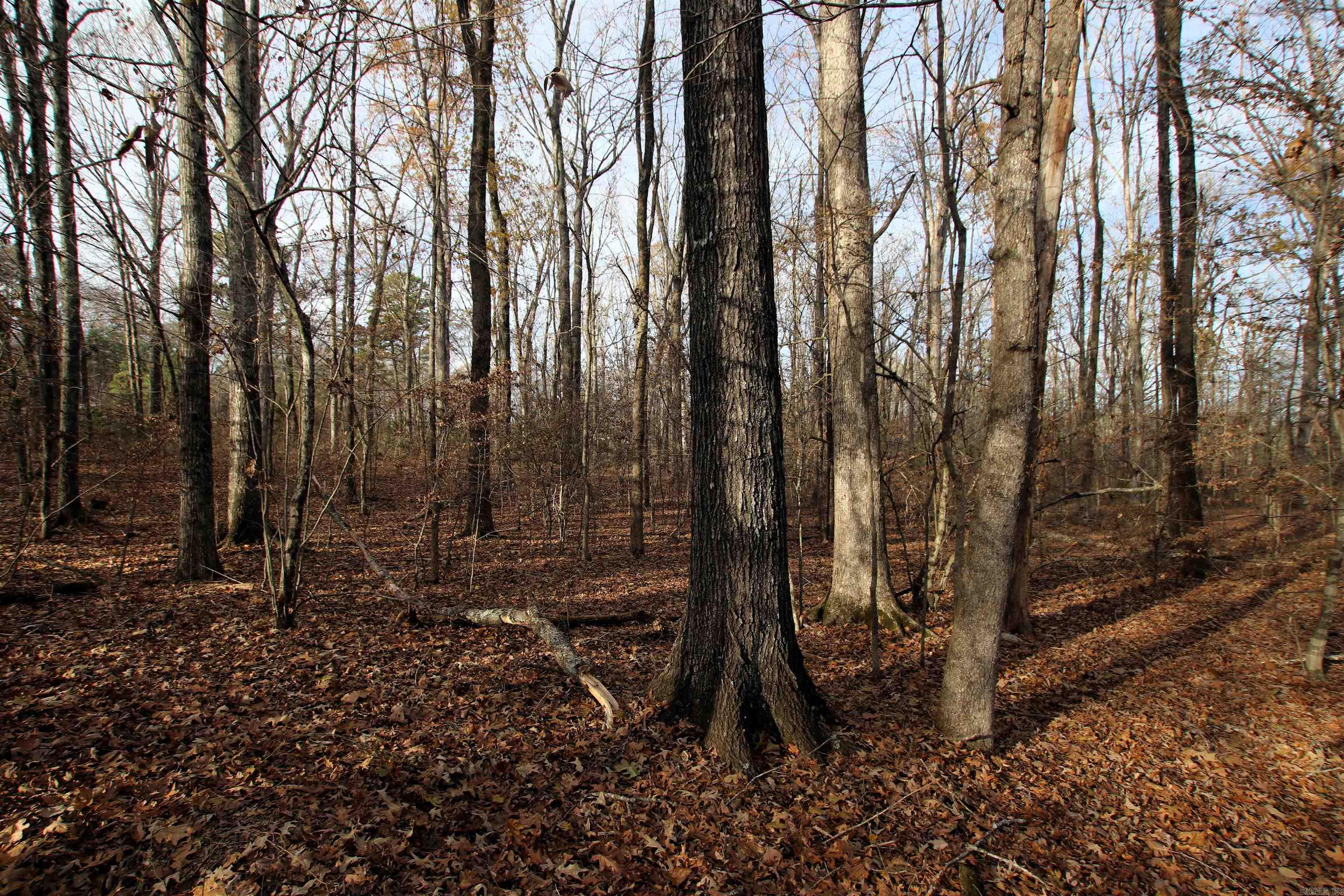 4623 Cash Mountain  Malvern, AR