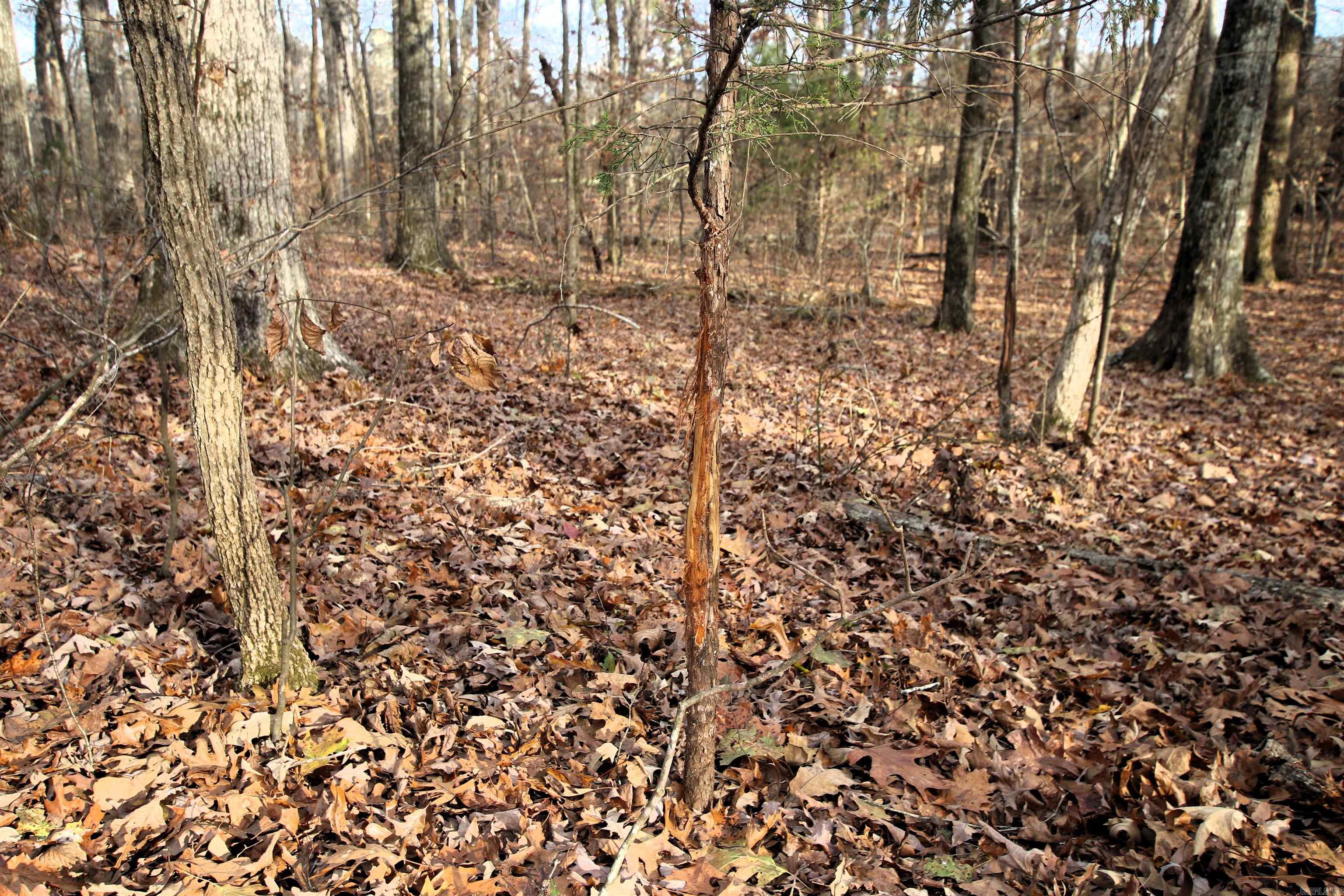 4623 Cash Mountain  Malvern, AR