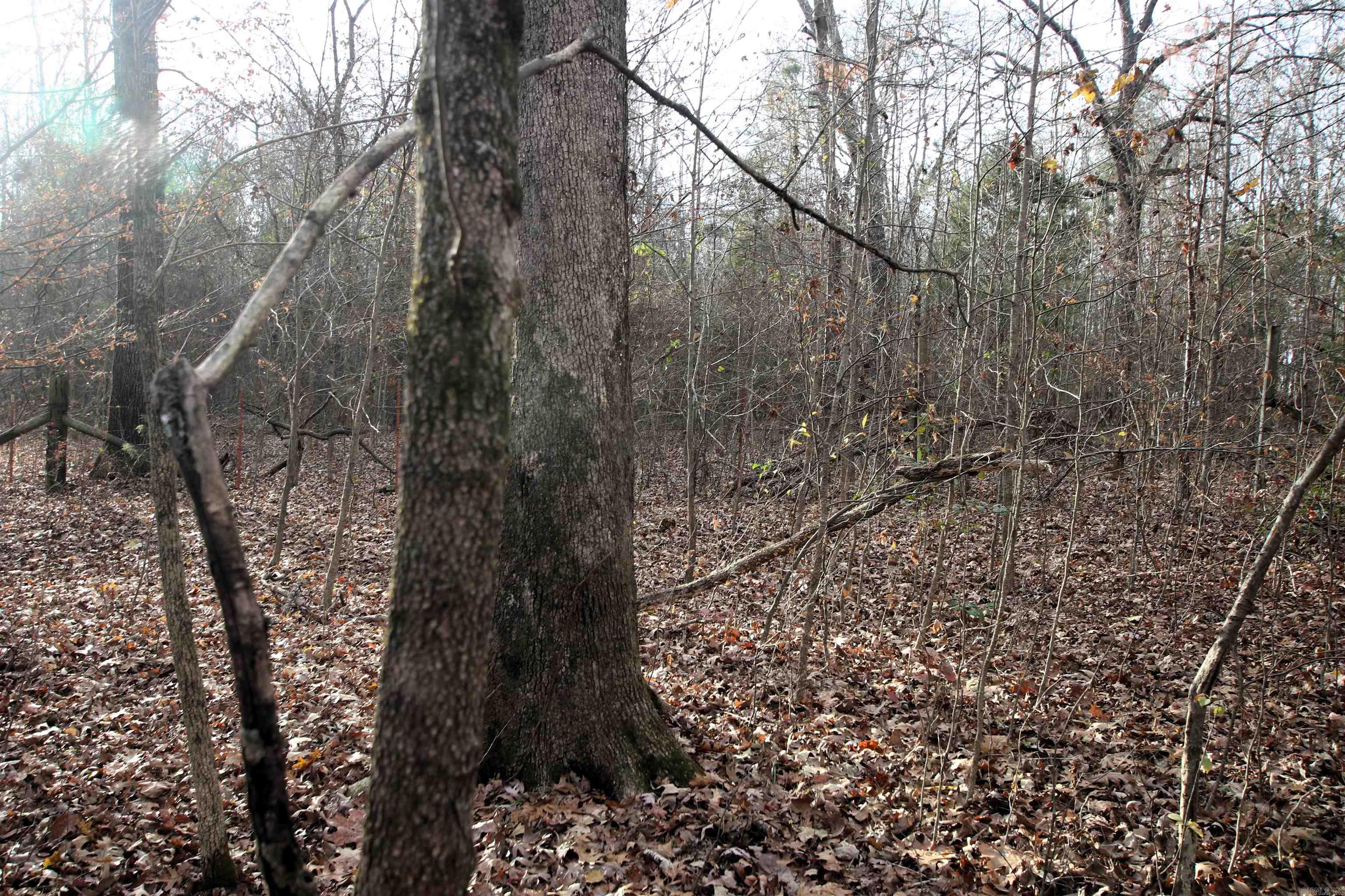 4623 Cash Mountain  Malvern, AR