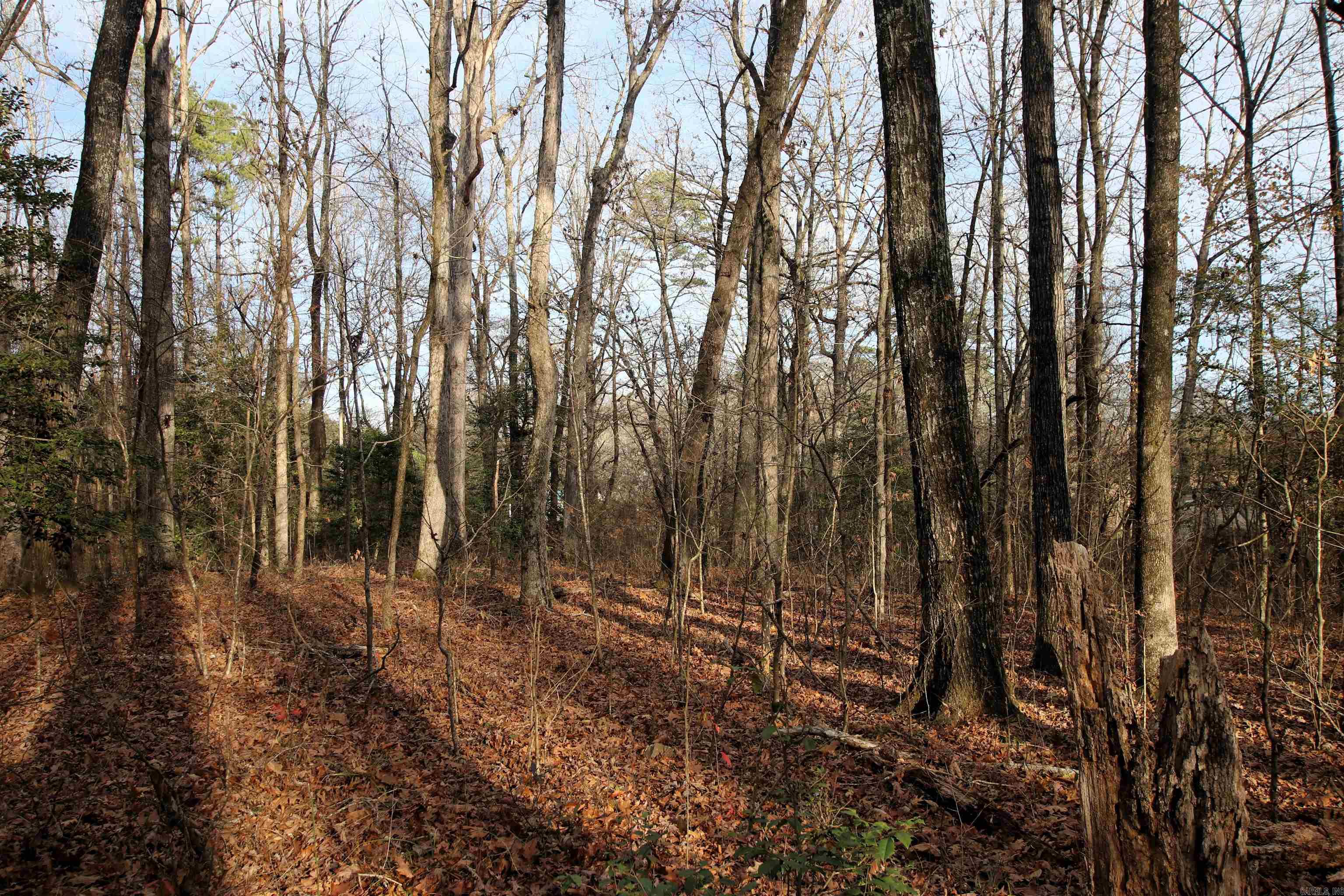 4623 Cash Mountain  Malvern, AR