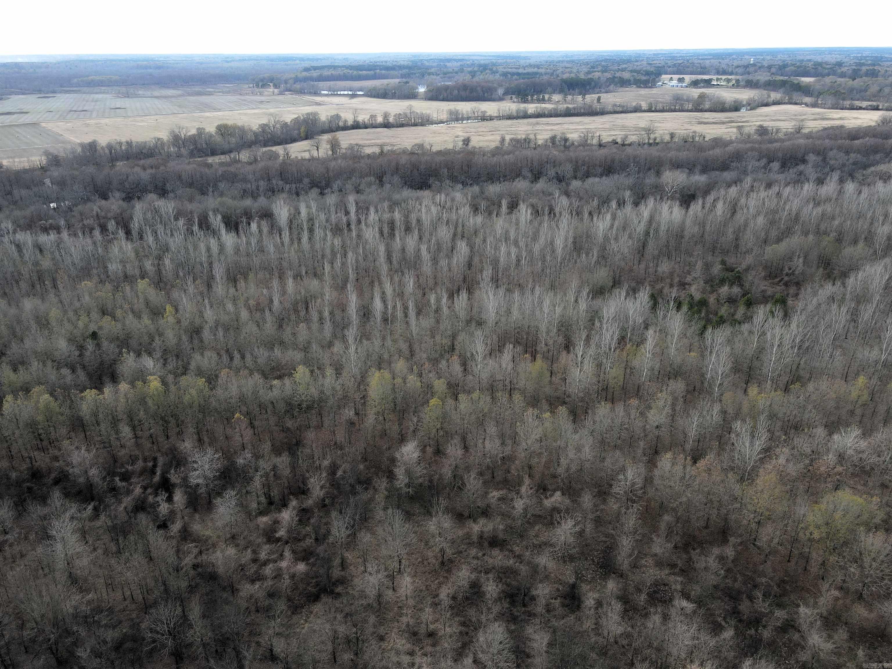 000 Case  Little Rock, AR