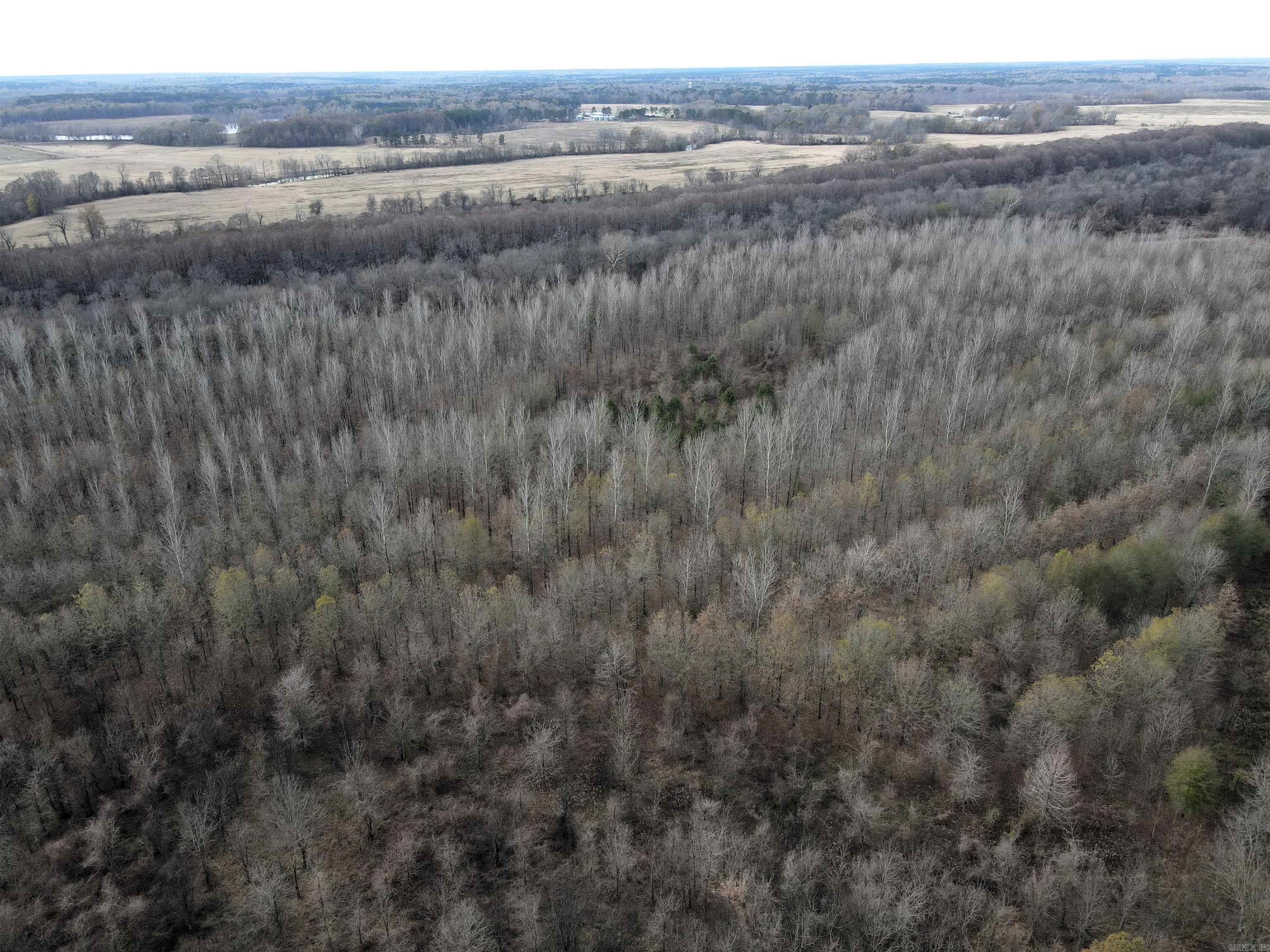 000 Case  Little Rock, AR