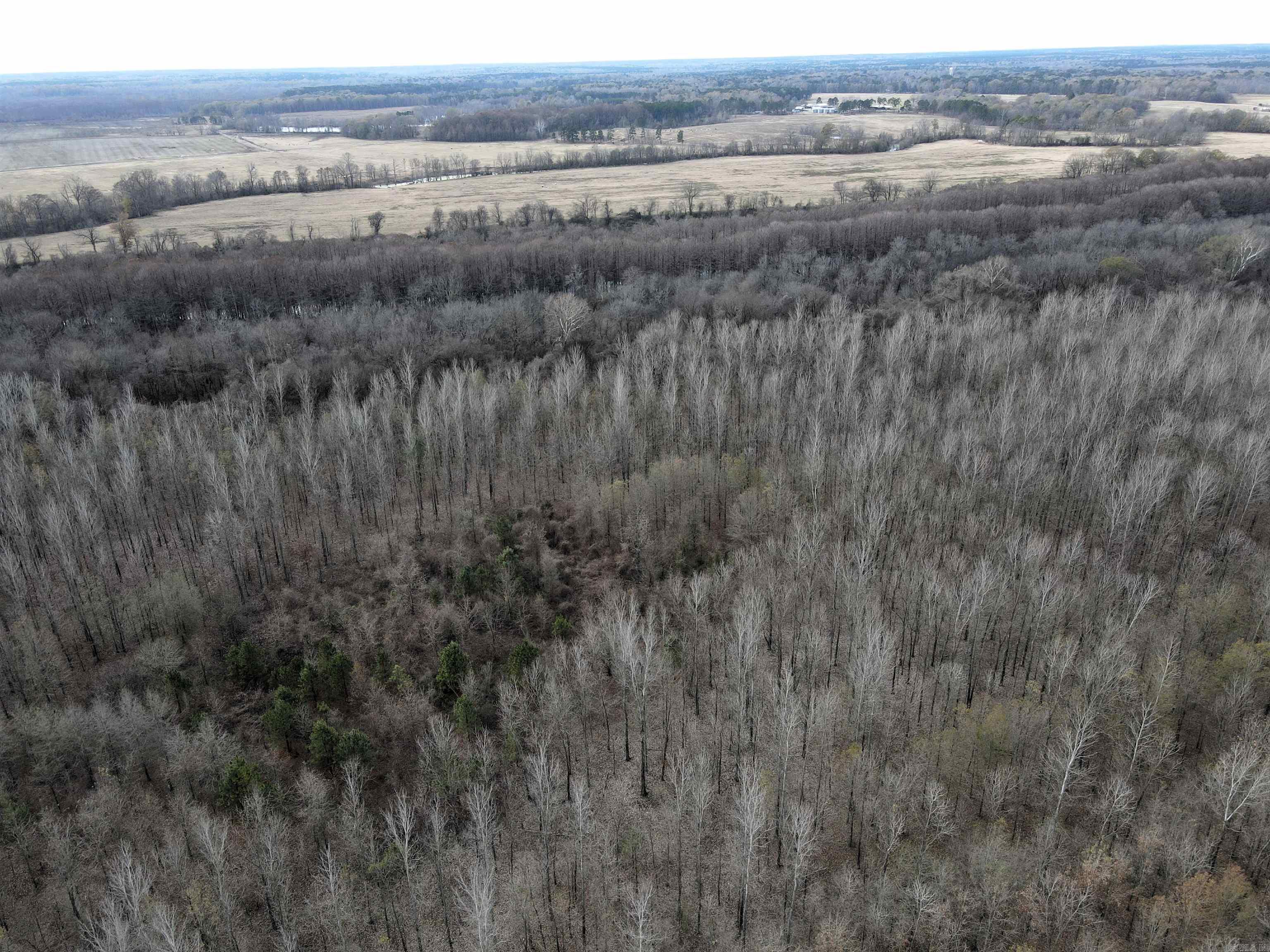 000 Case  Little Rock, AR