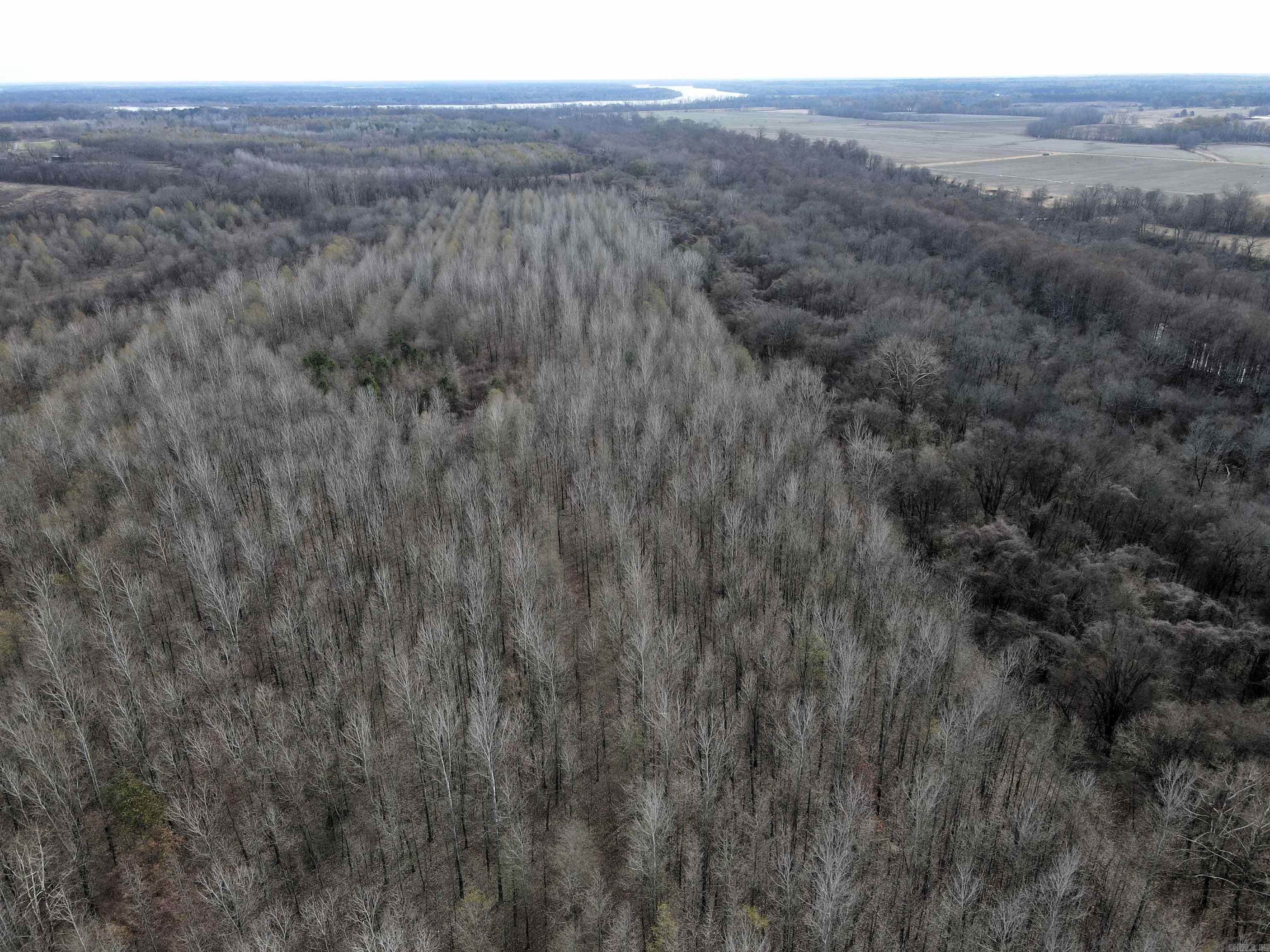 000 Case  Little Rock, AR