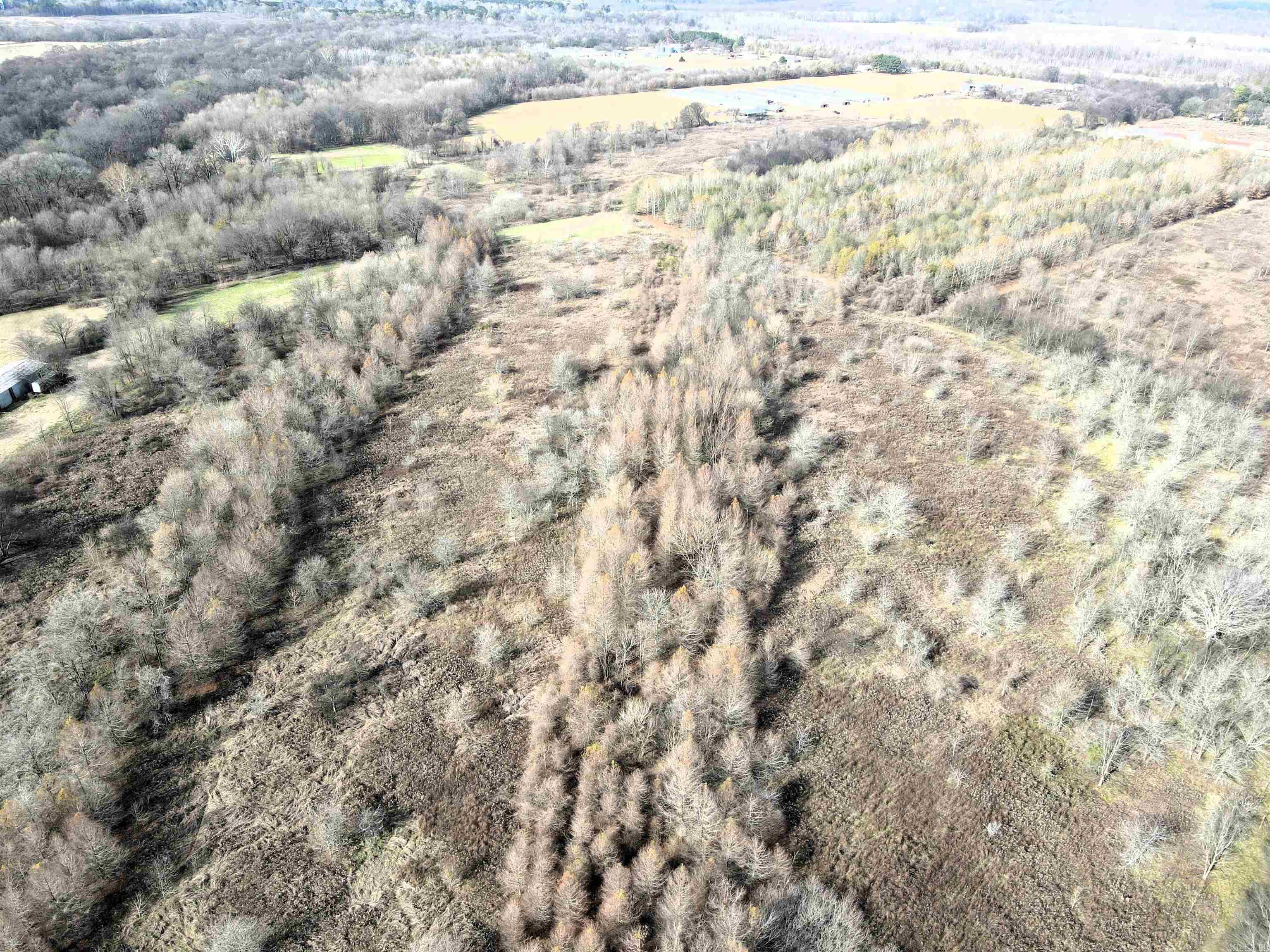 000 Case  Little Rock, AR