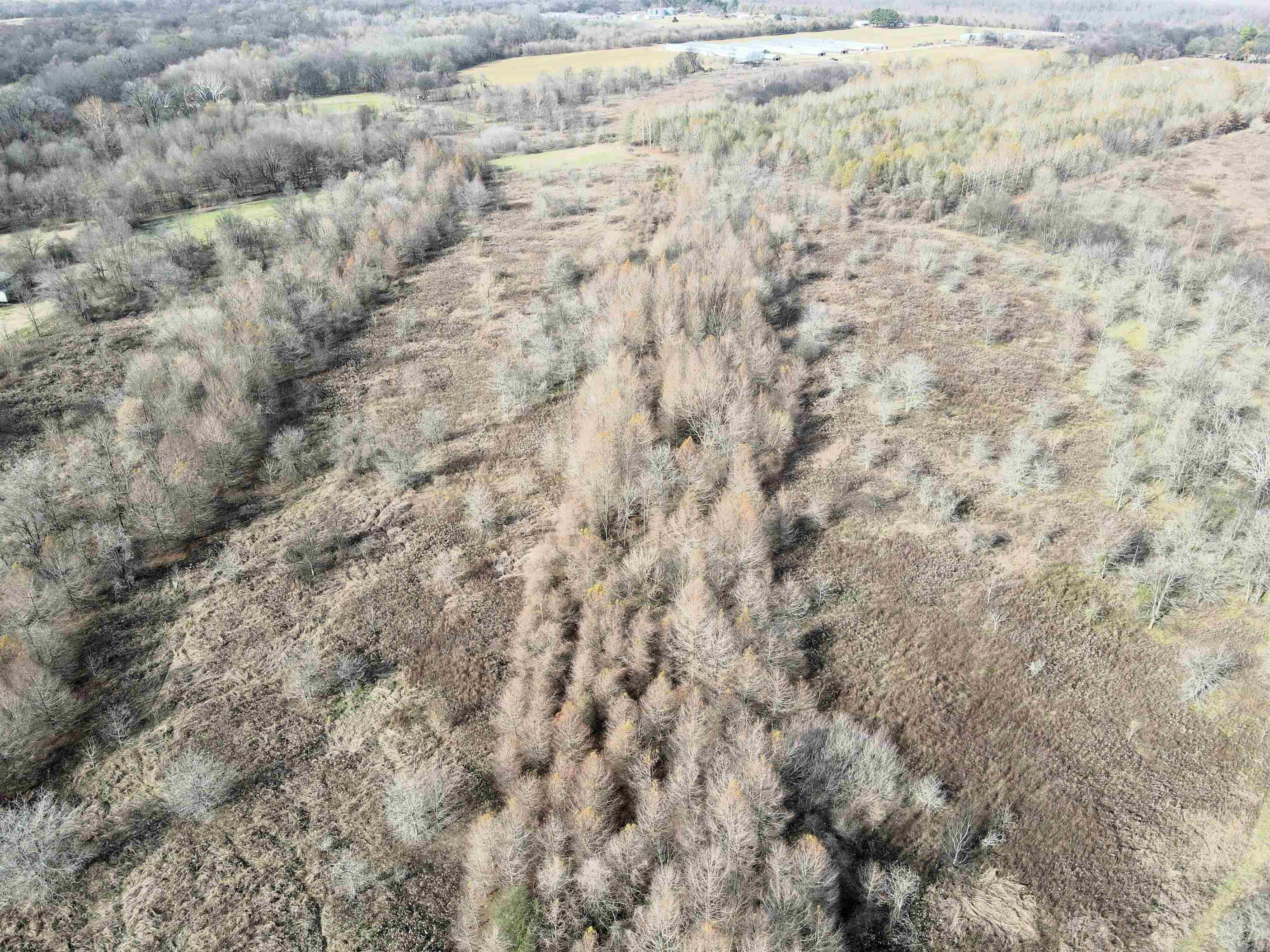 000 Case  Little Rock, AR