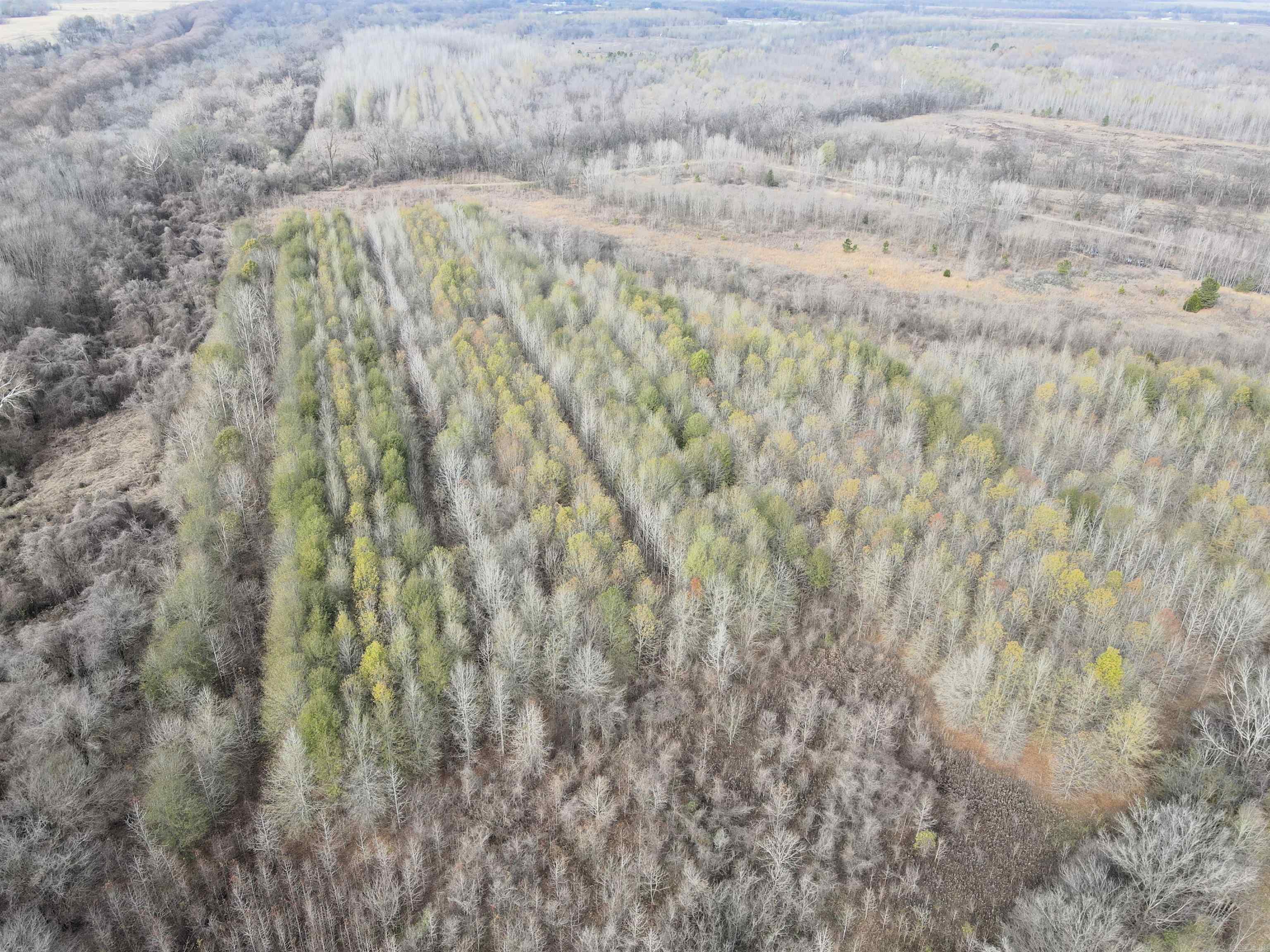 000 Case  Little Rock, AR