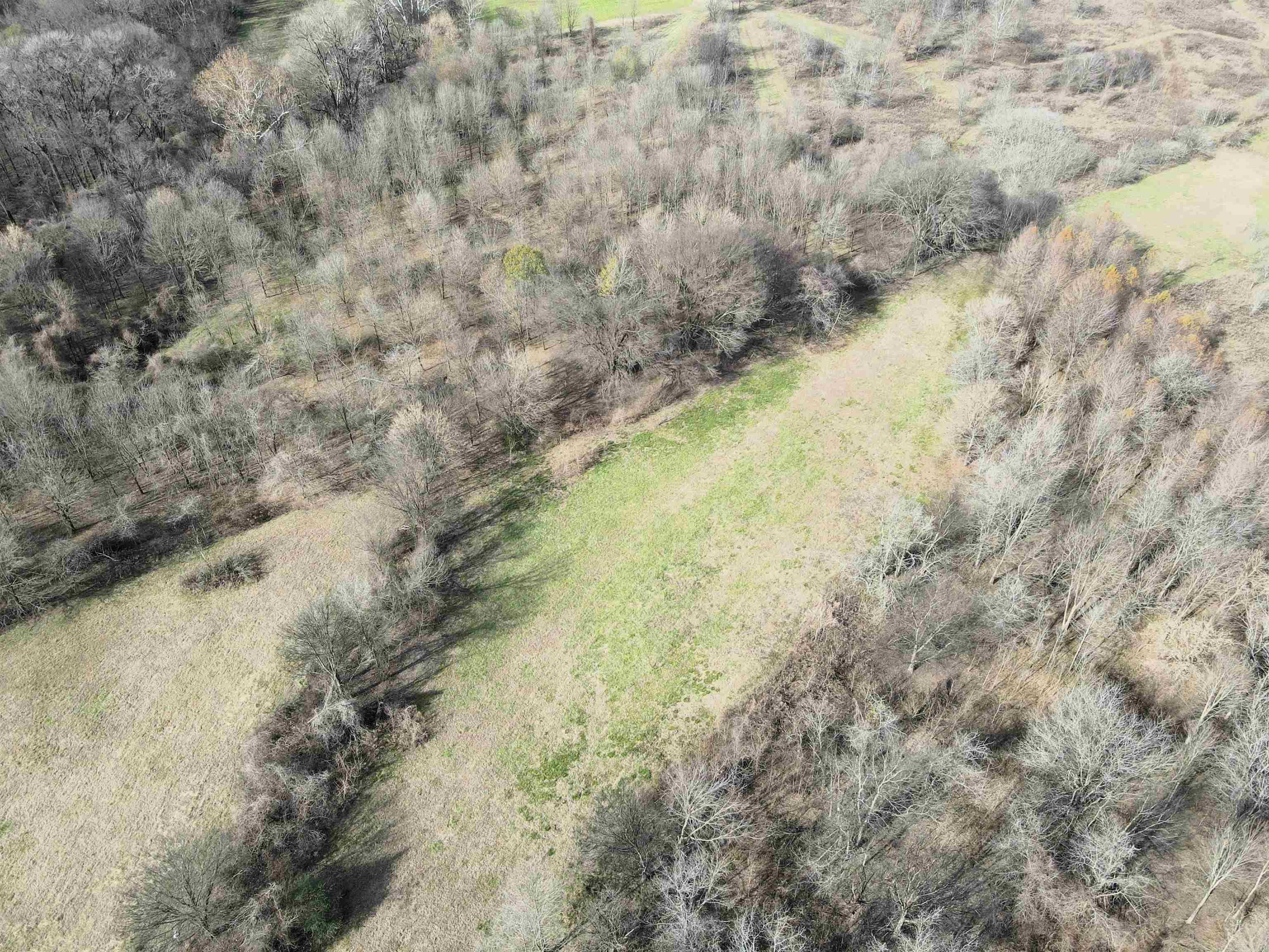 000 Case  Little Rock, AR