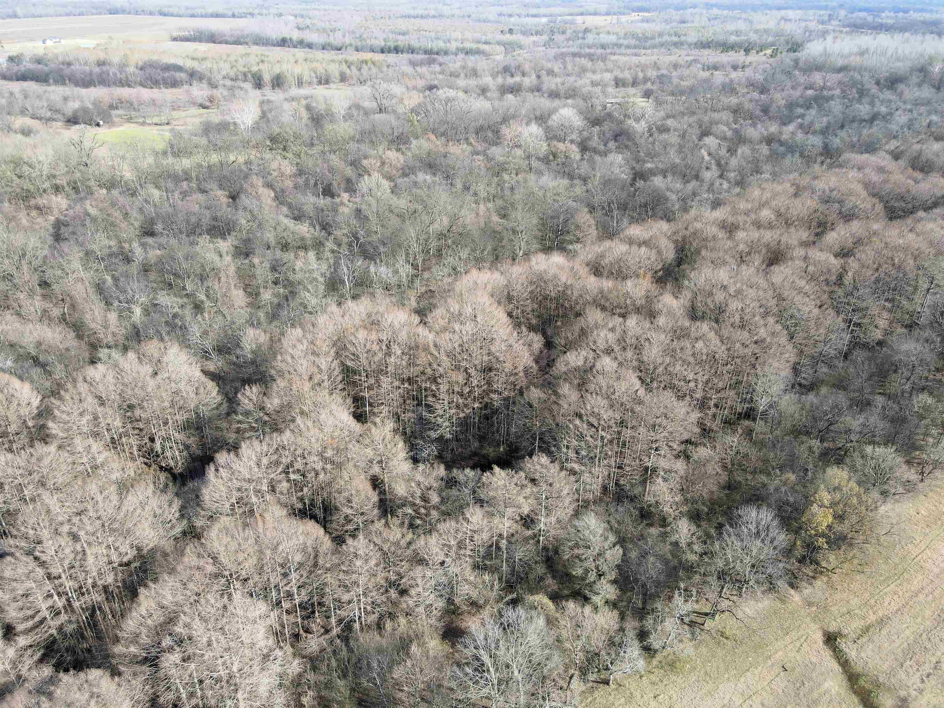 000 Case  Little Rock, AR