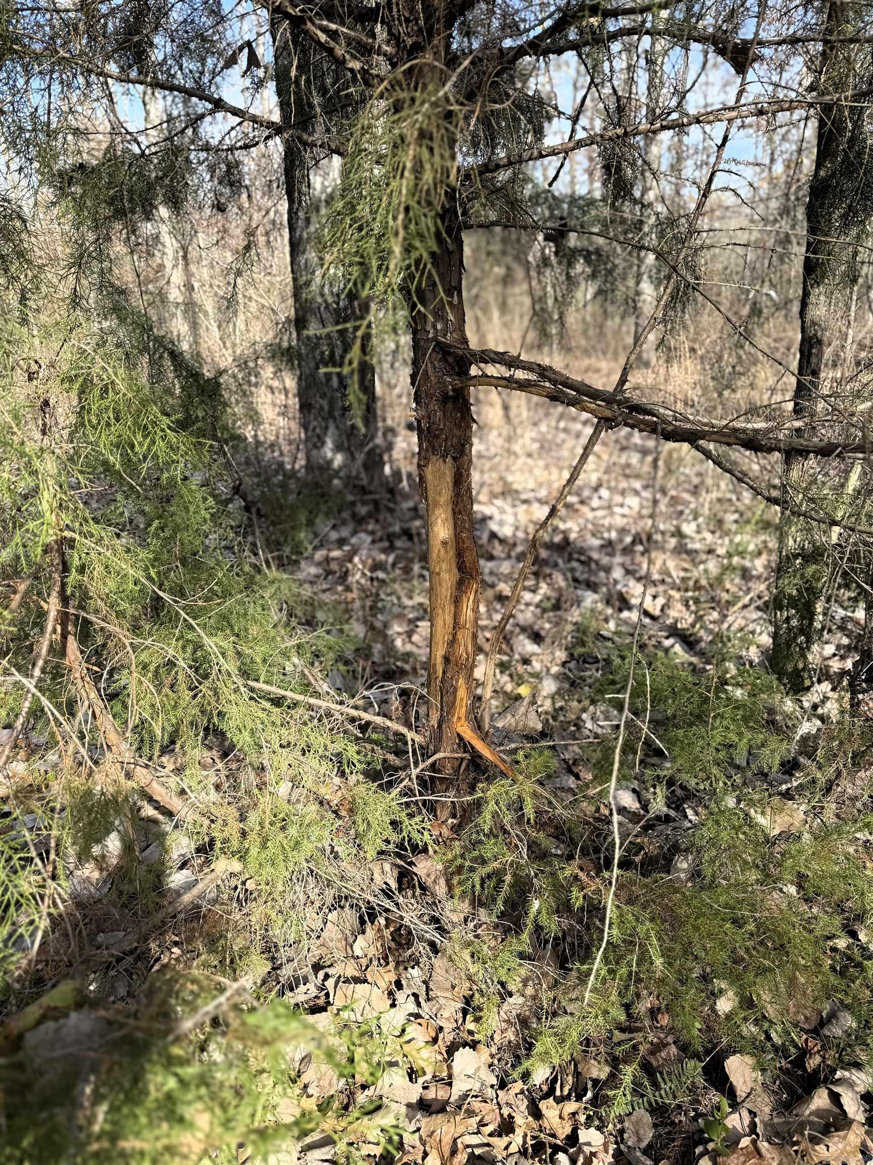 000 Case  Little Rock, AR