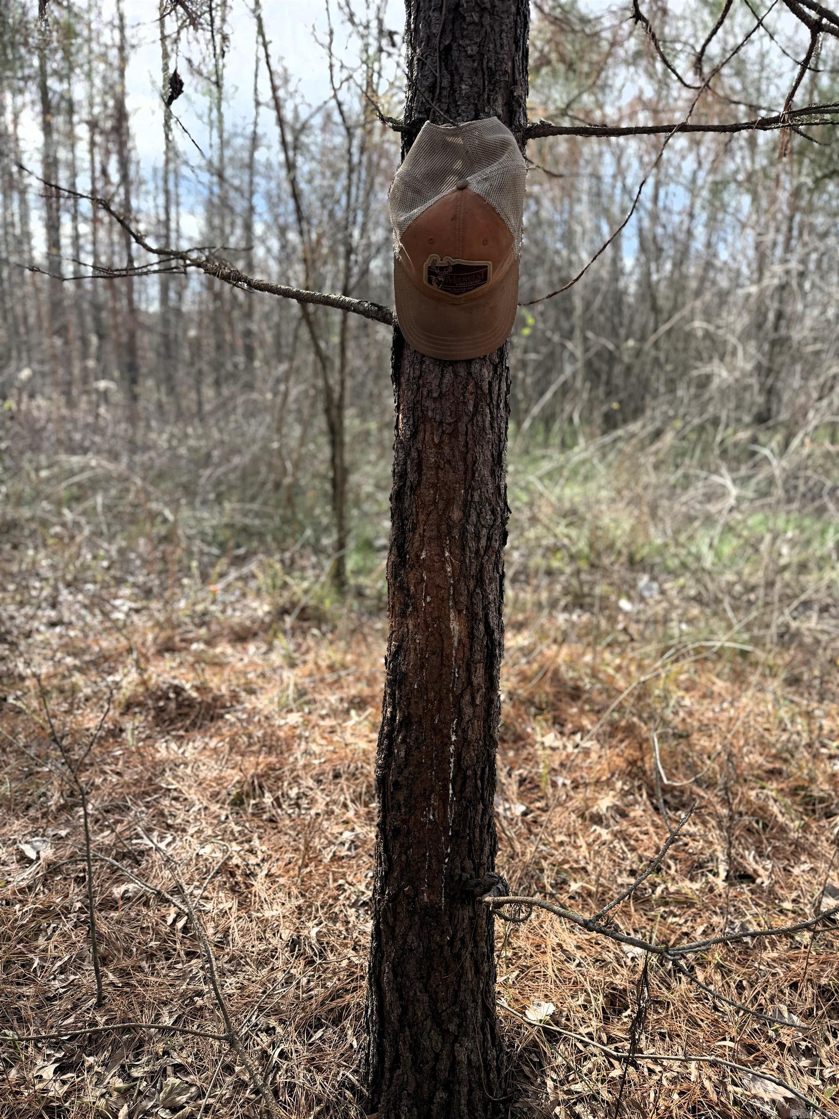 000 Case  Little Rock, AR