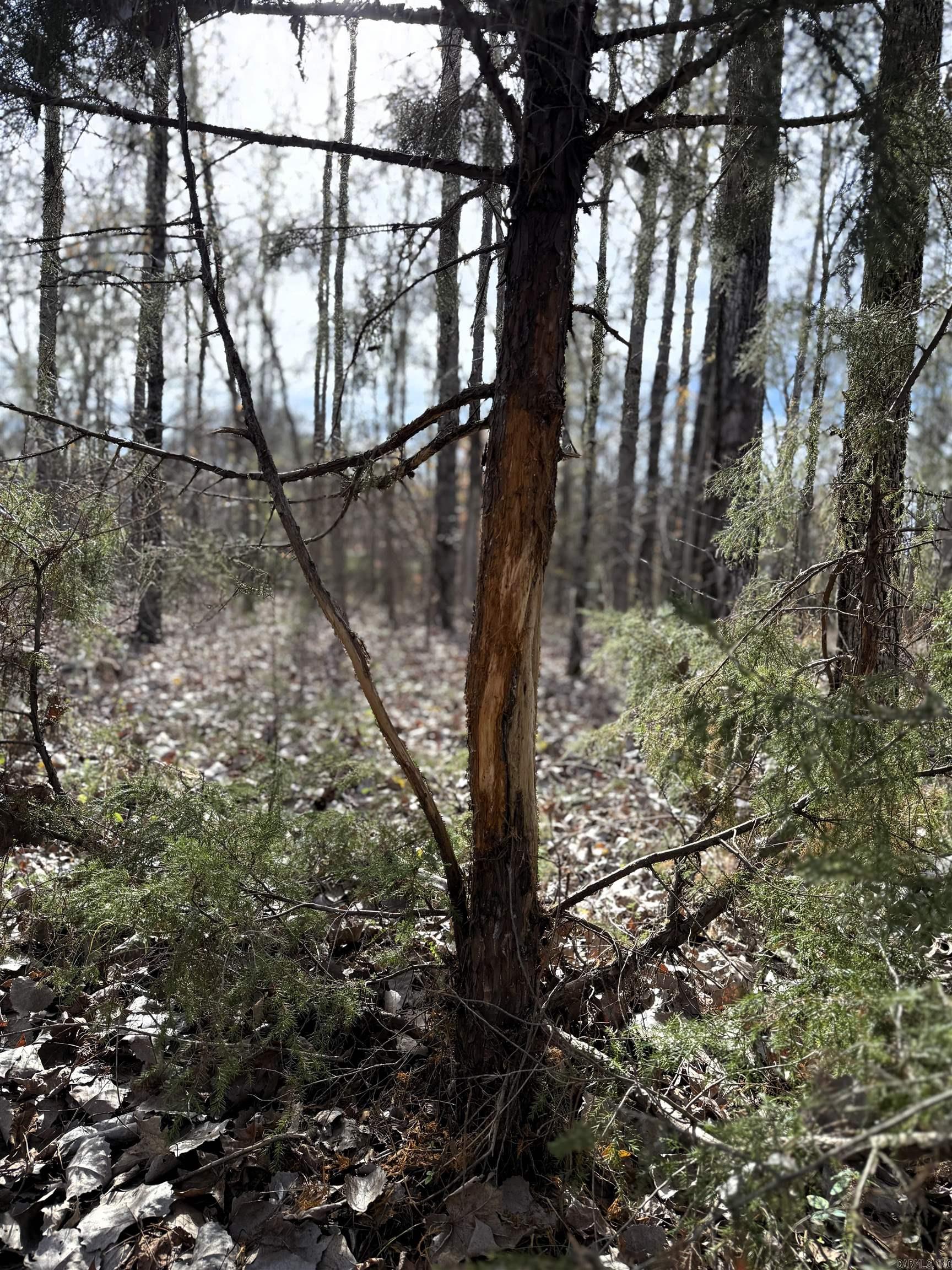 000 Case  Little Rock, AR