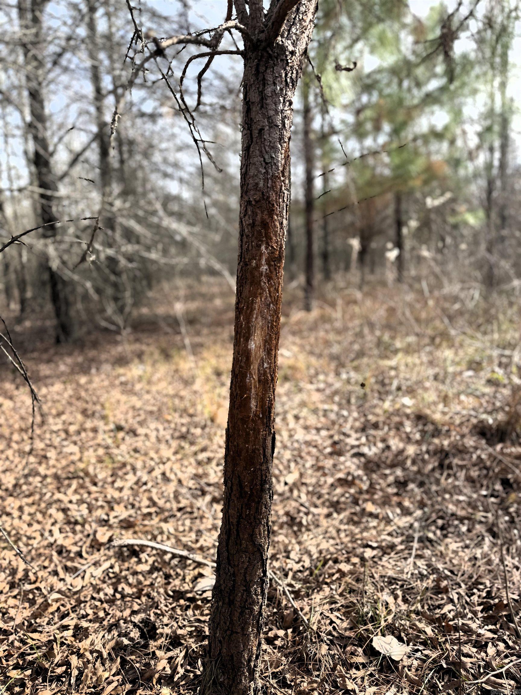 000 Case  Little Rock, AR