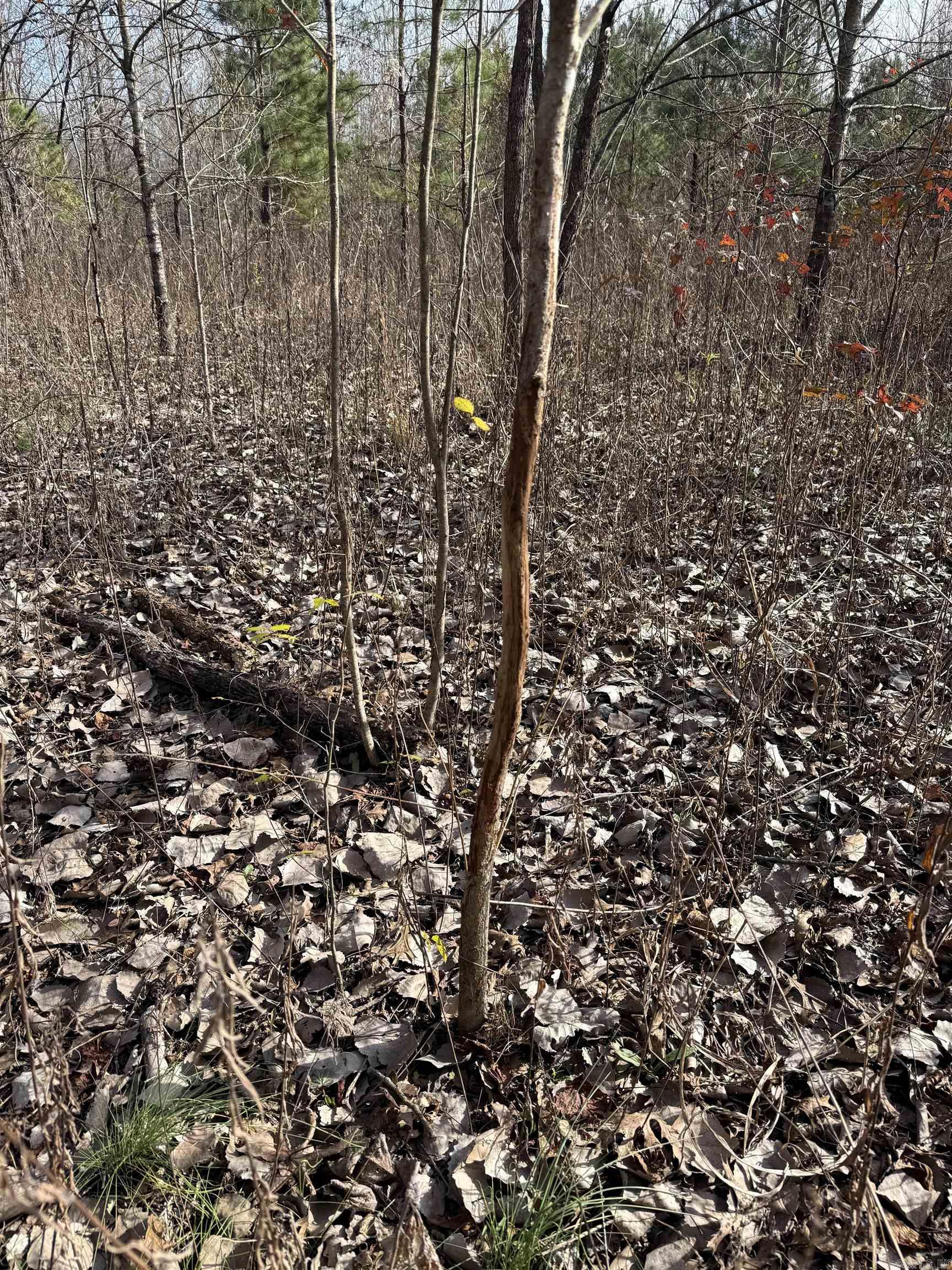 000 Case  Little Rock, AR