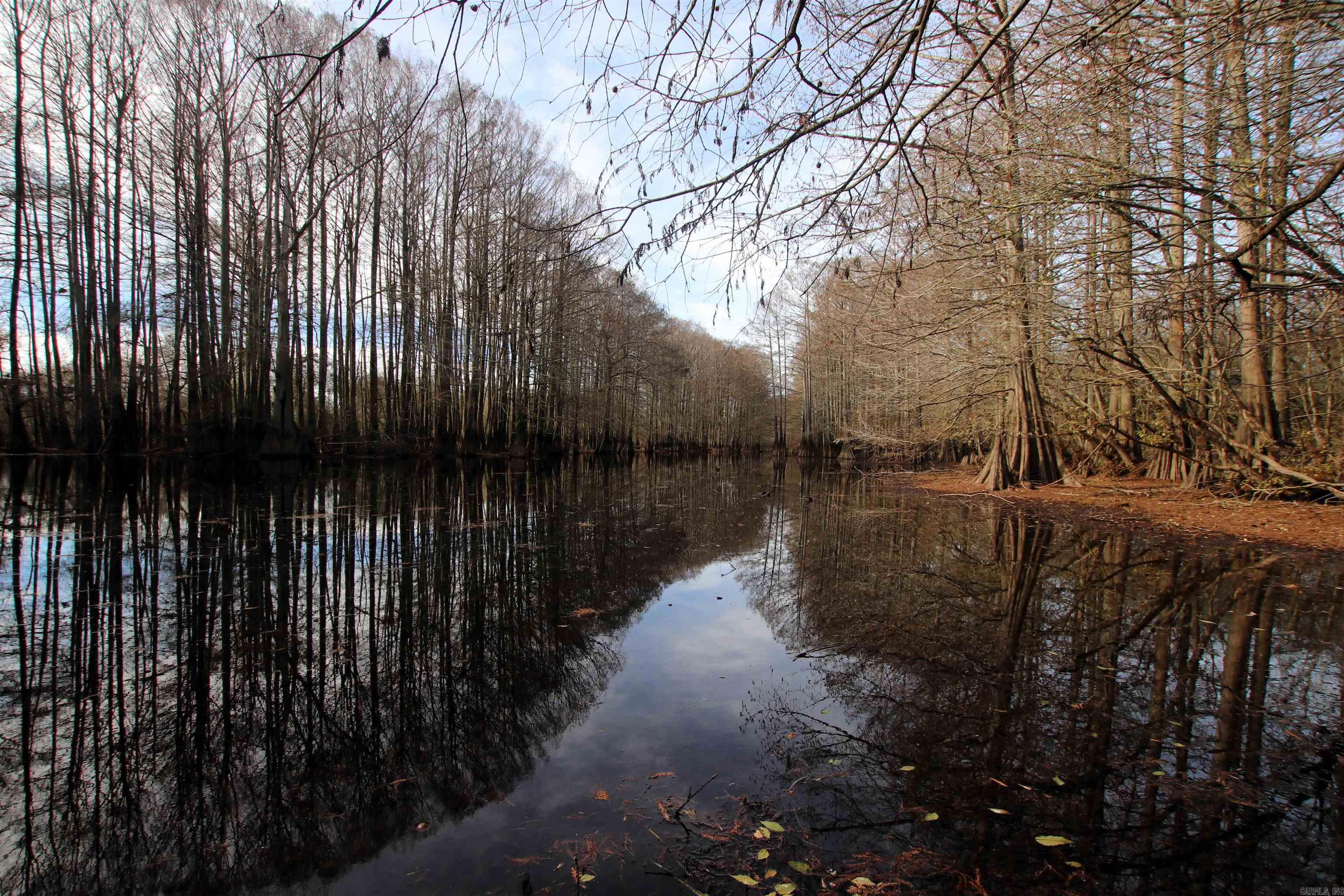 000 Case  Little Rock, AR