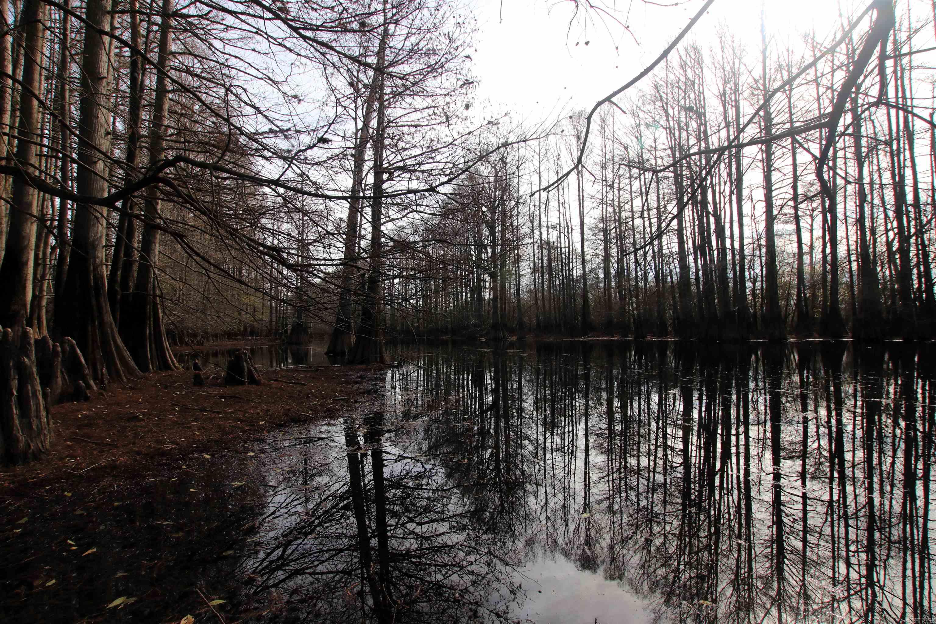 000 Case  Little Rock, AR