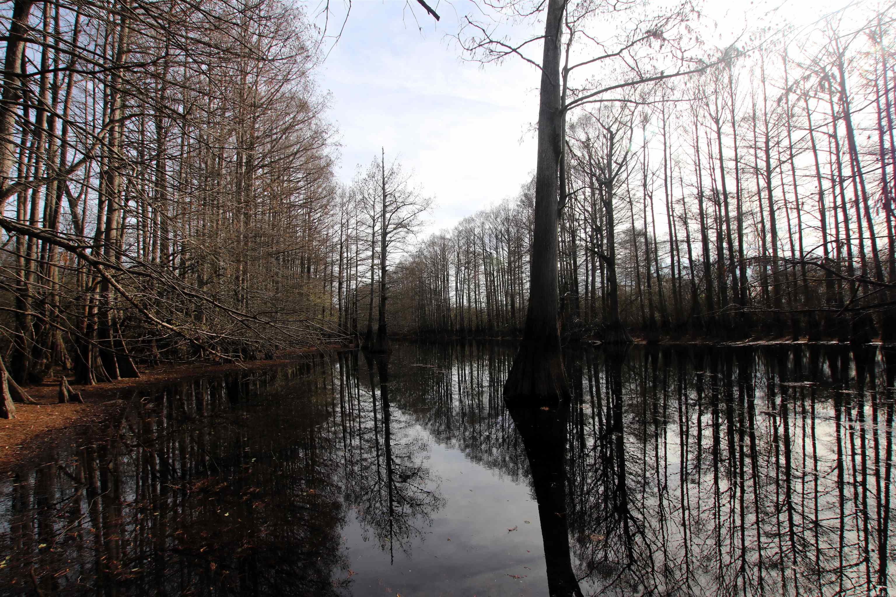 000 Case  Little Rock, AR